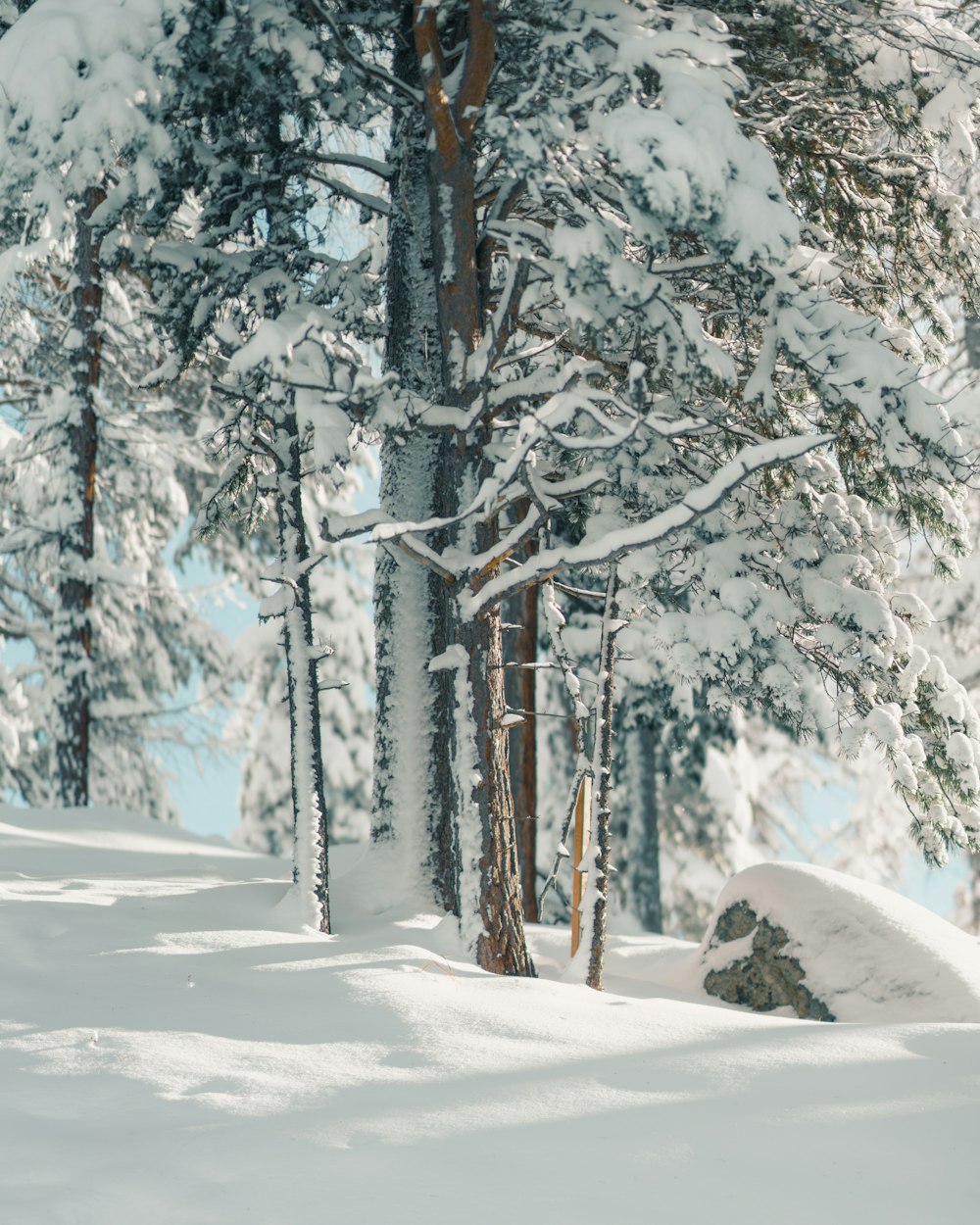 a man riding skis down a snow covered slope