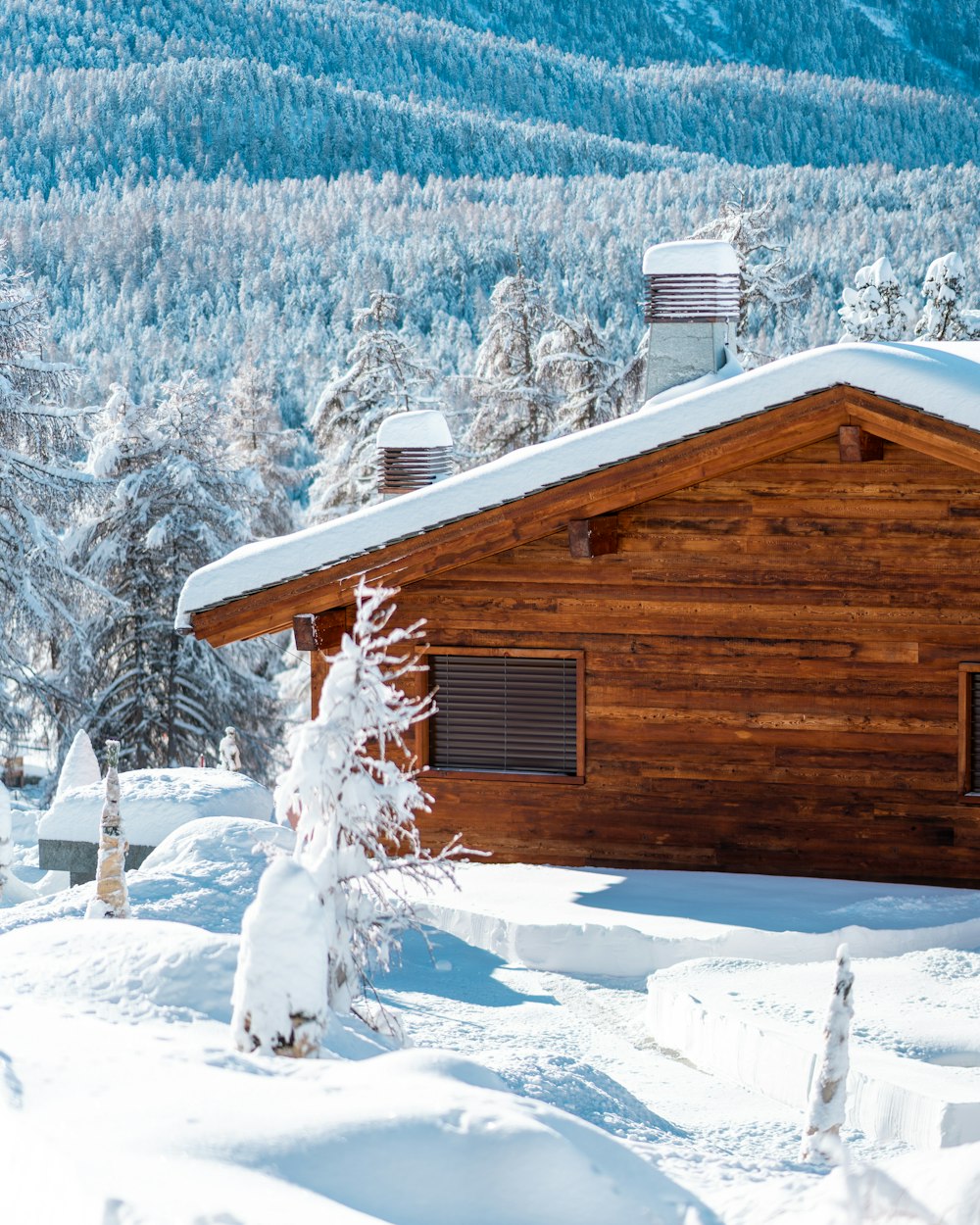 a cabin in the mountains covered in snow