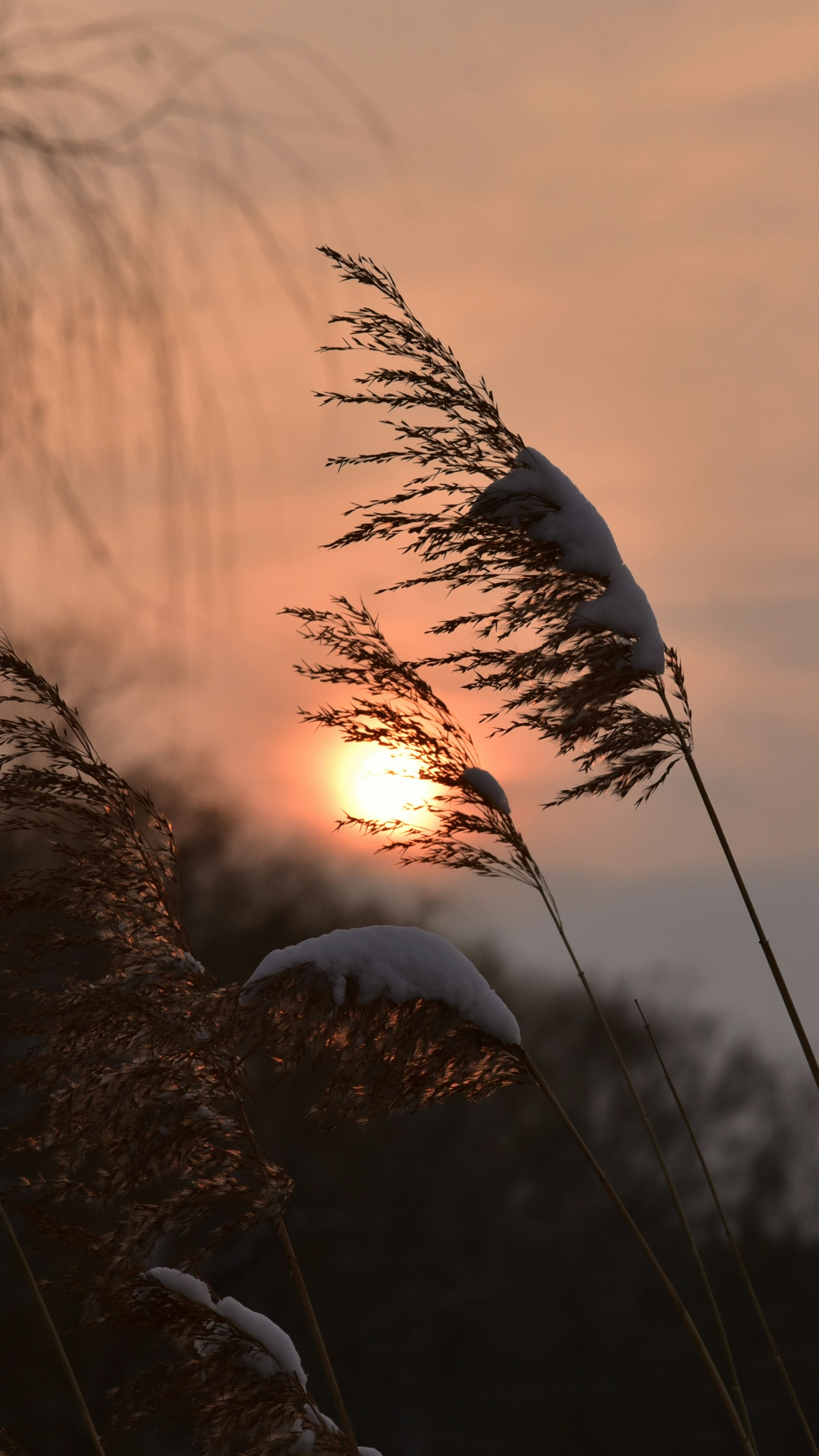 Photo by danny_chen_