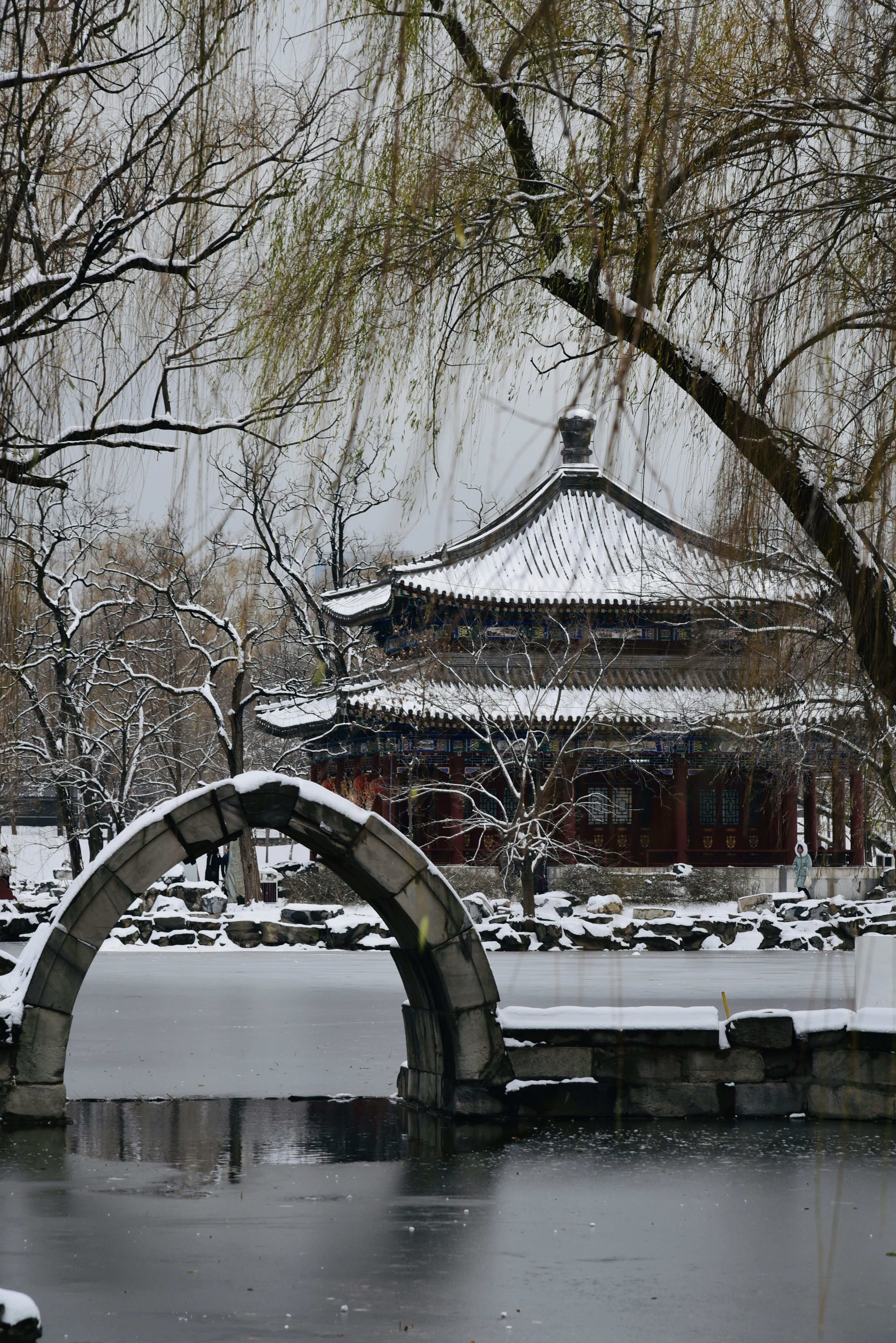 Photo by danny_chen_