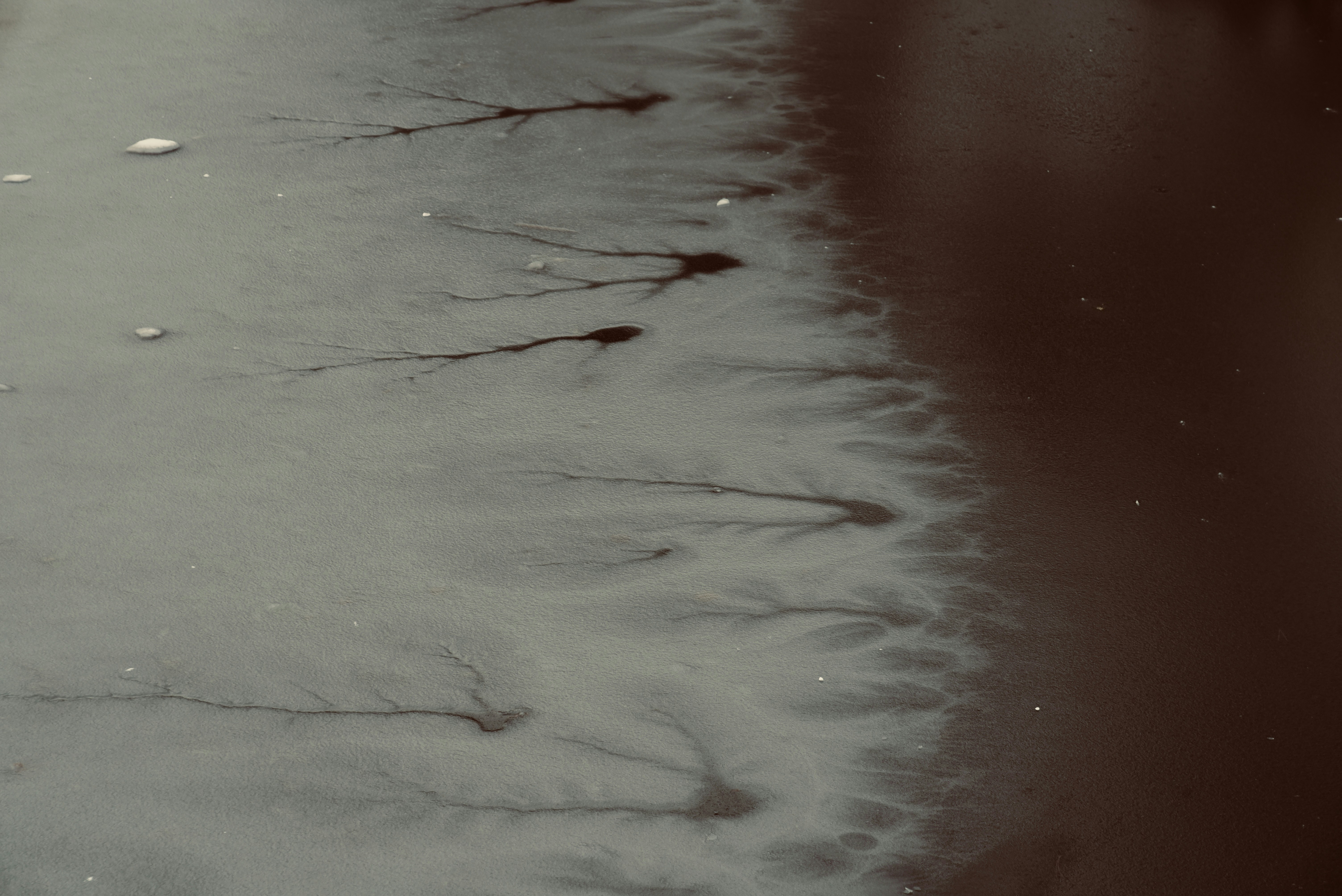 Photo by danny_chen_