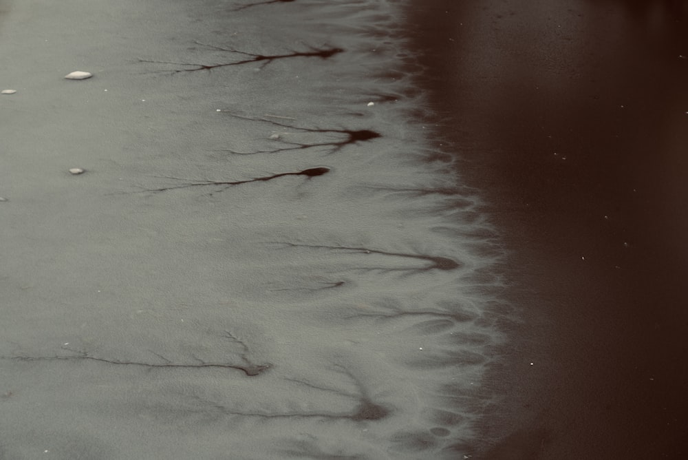 a black and white photo of snow and water