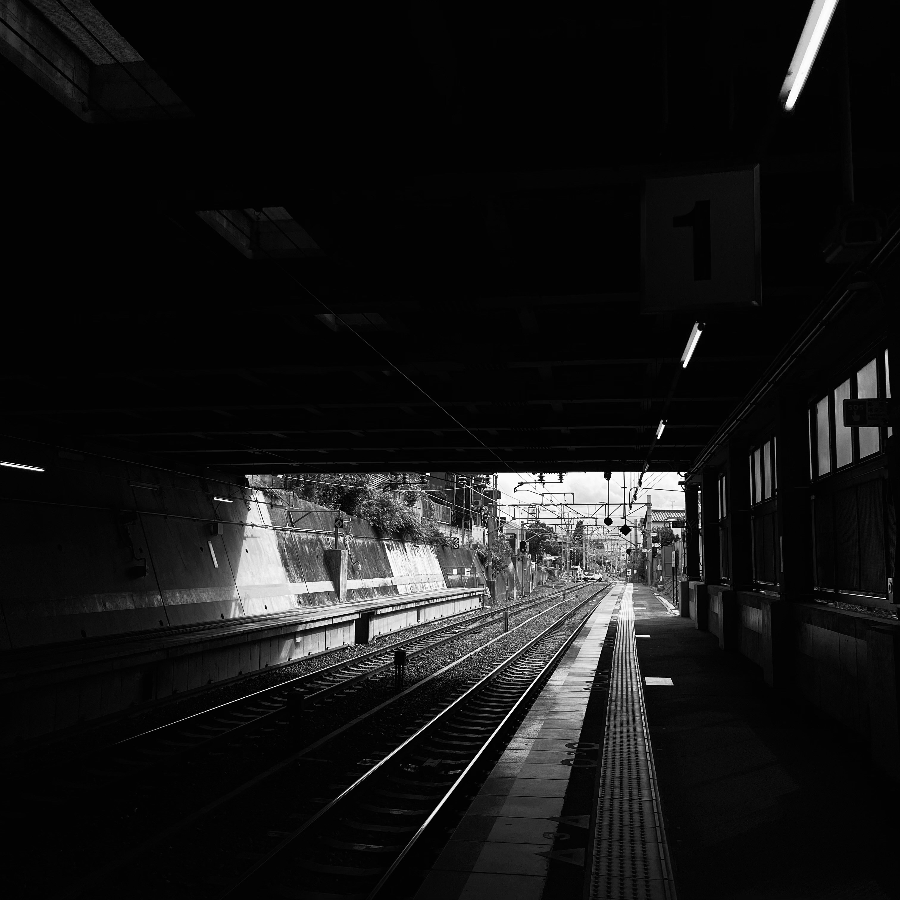 Photo by danny_chen_