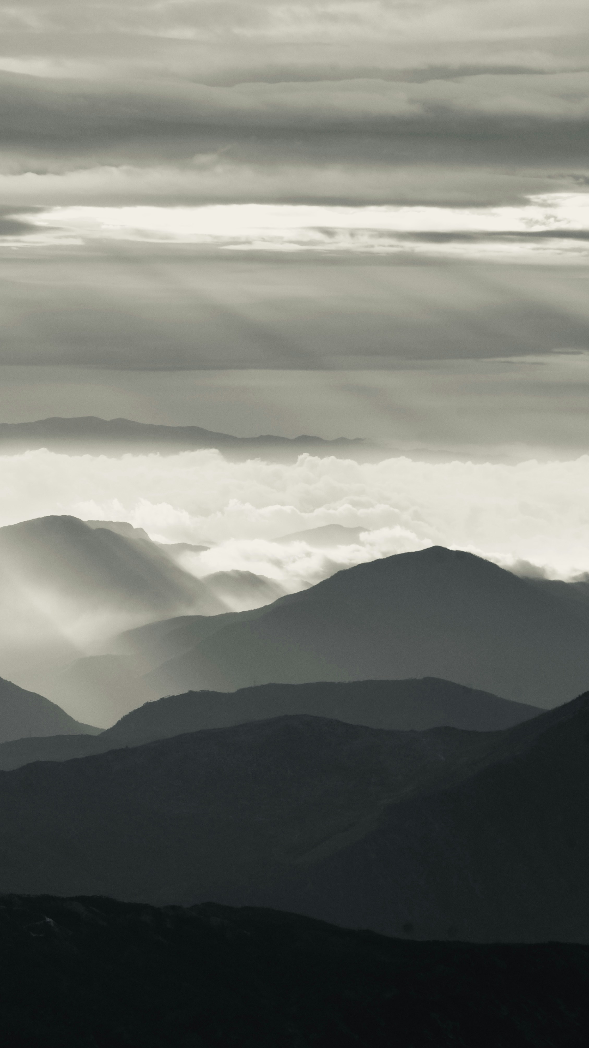 Photo by danny_chen_