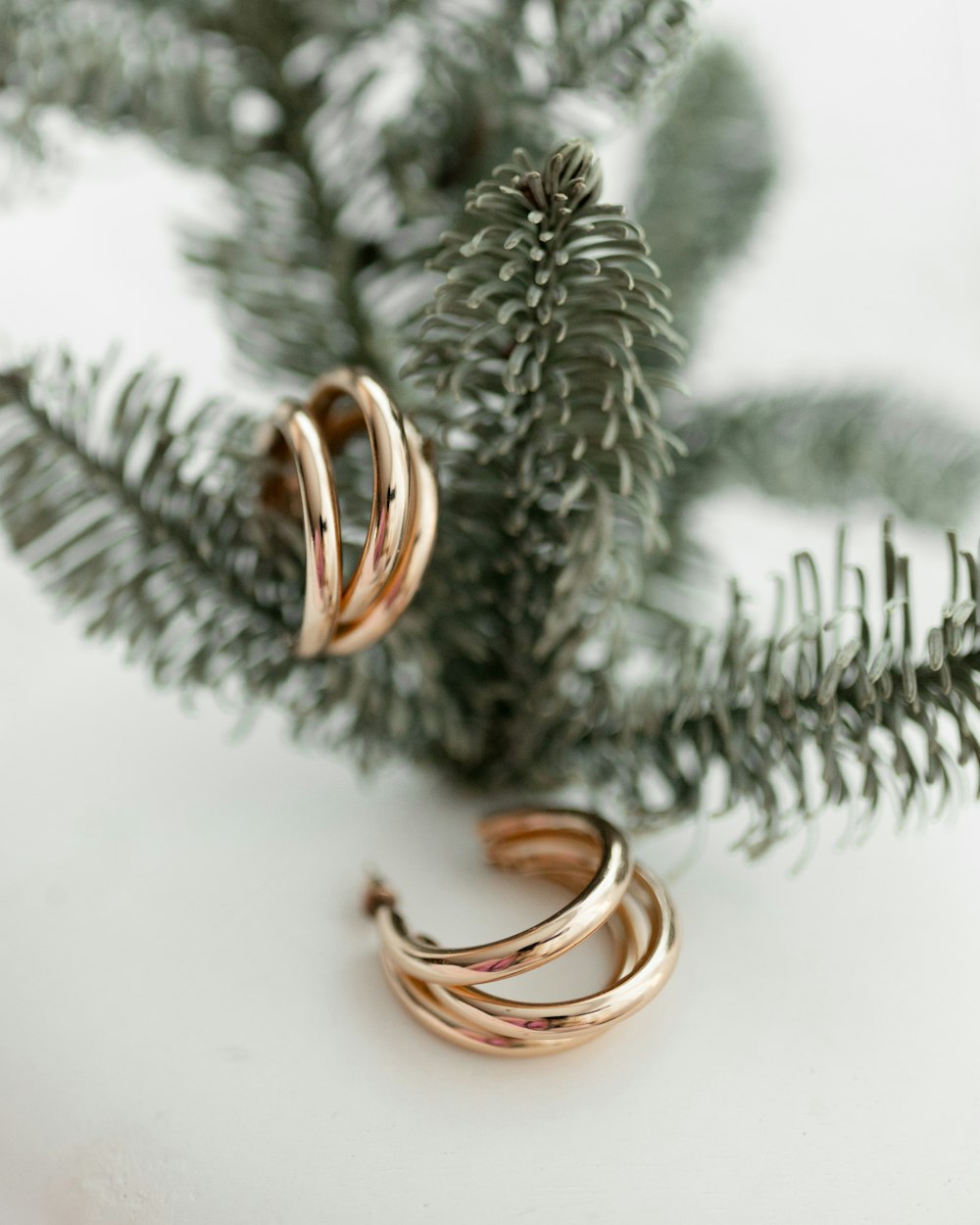 a pair of gold rings sitting on top of a pine tree