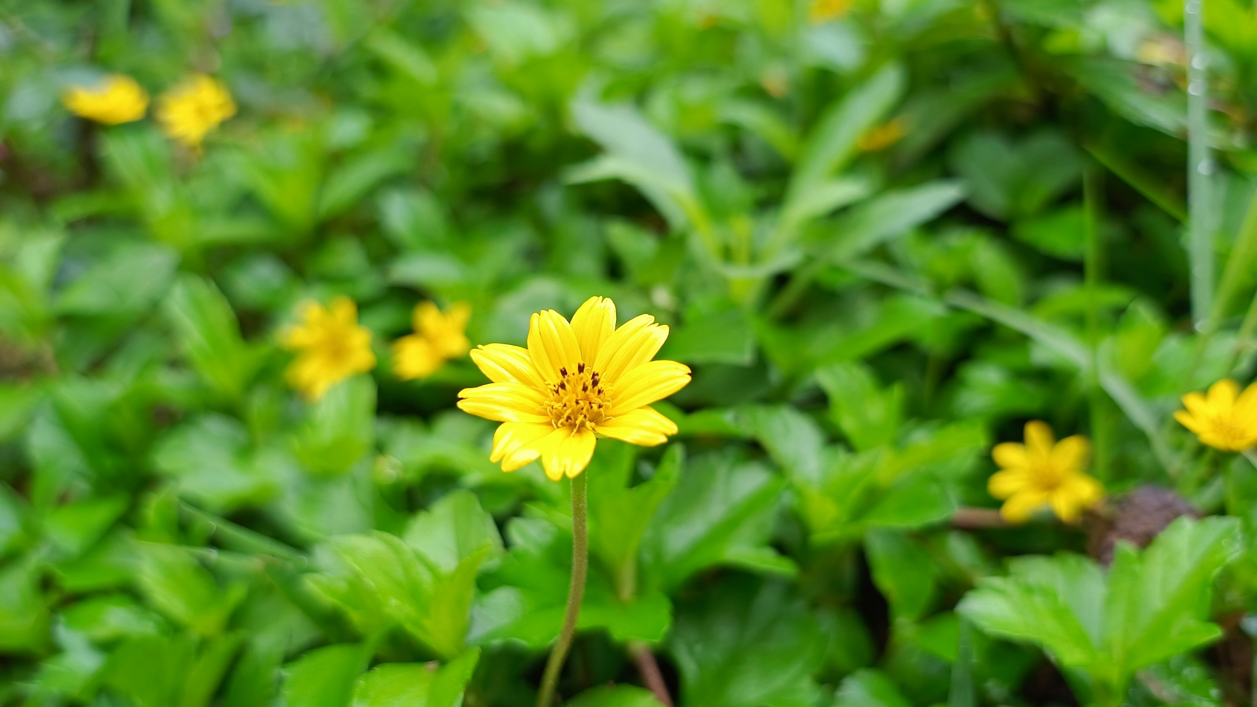 Photo by syamnani140