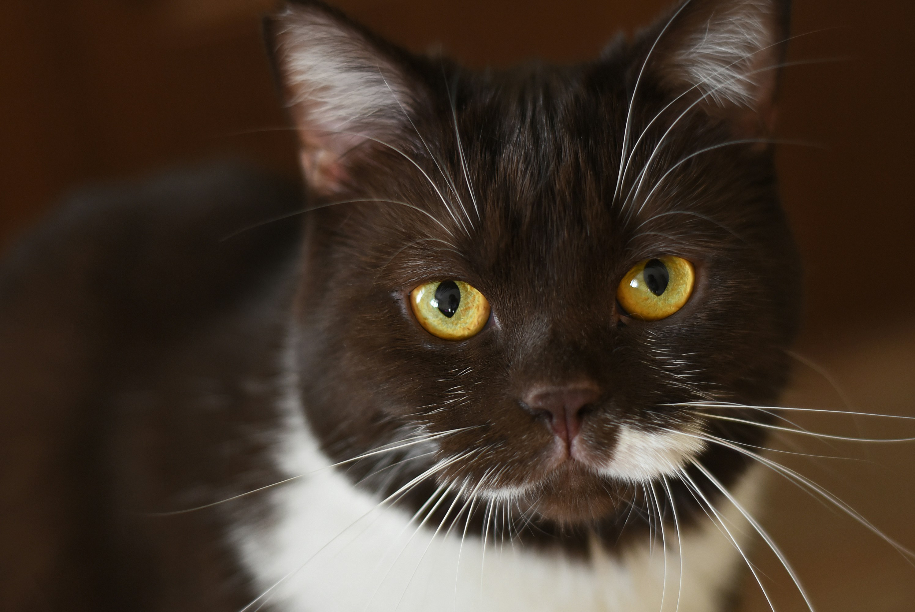 How to Build Emotional Chemistry