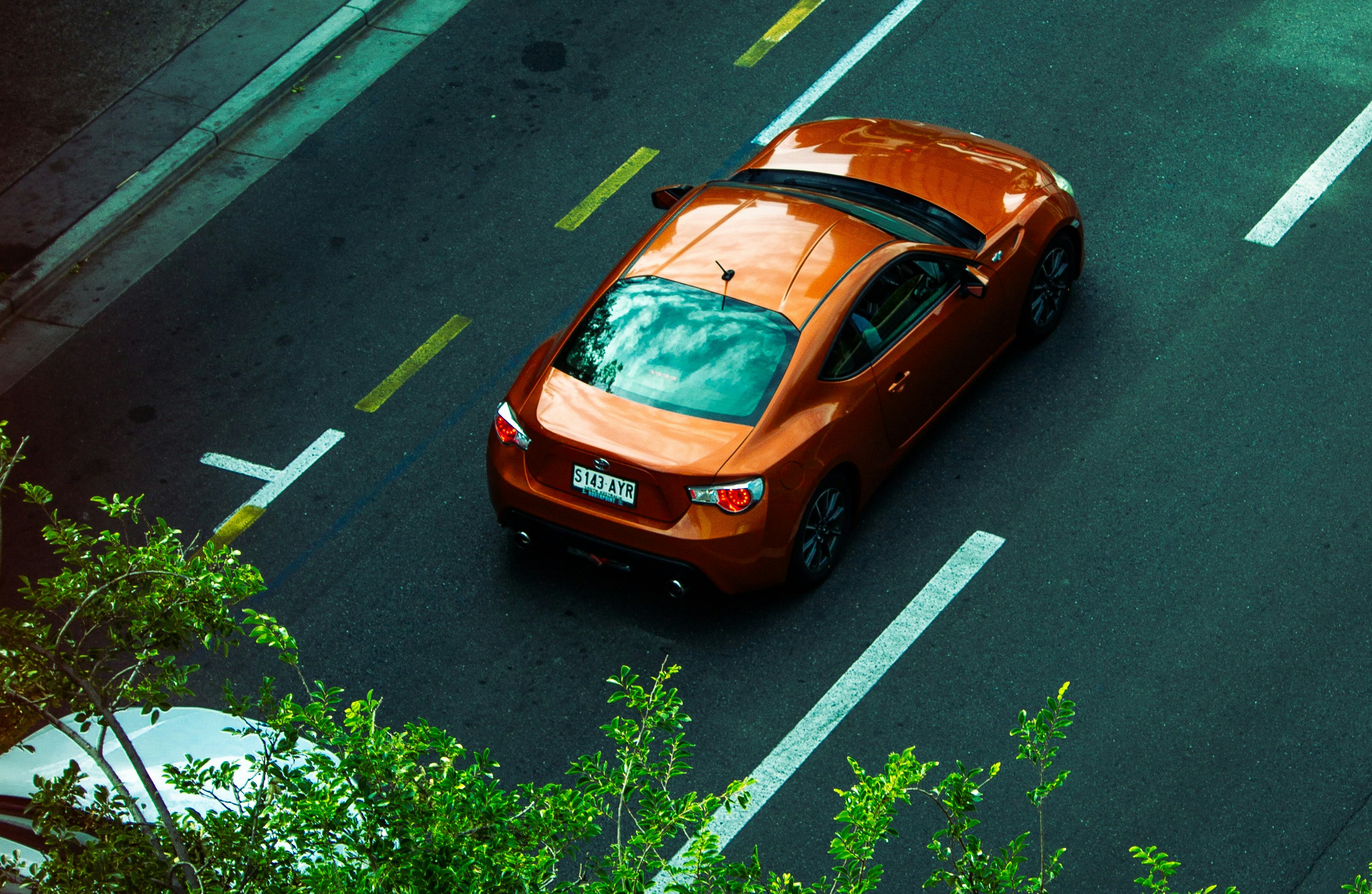 Photo by kiancaptures