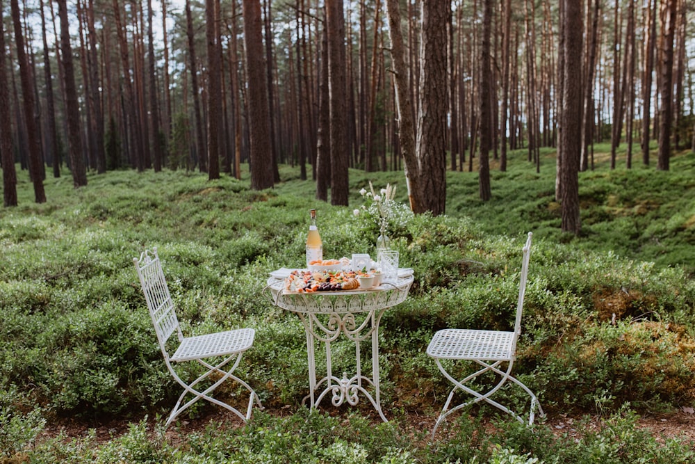 a table and two chairs in the woods