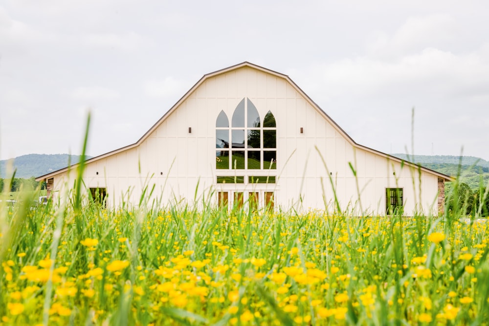 a white barn with a window in the middle of a field of yellow flowers