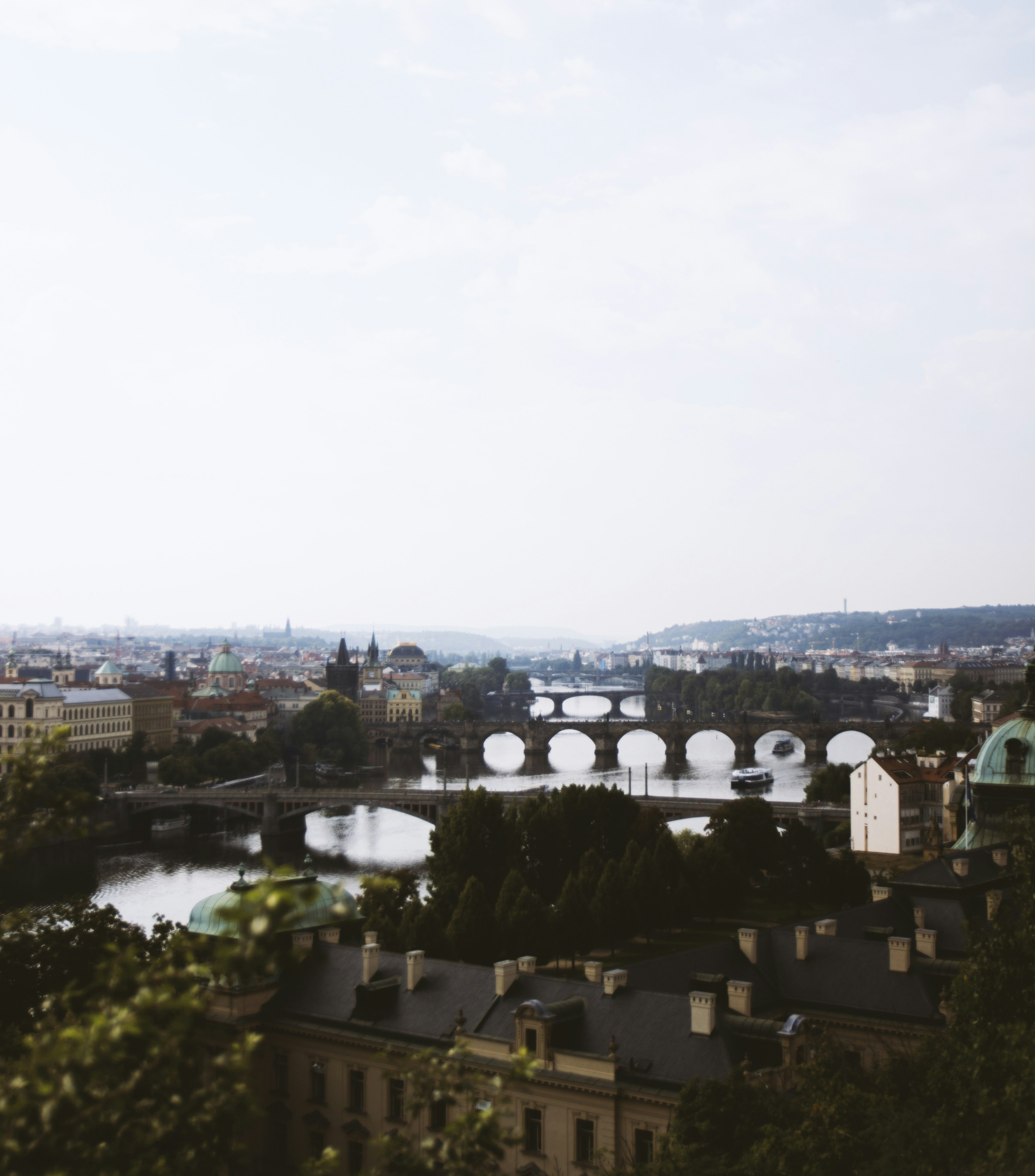 Photo by beyondxphotography