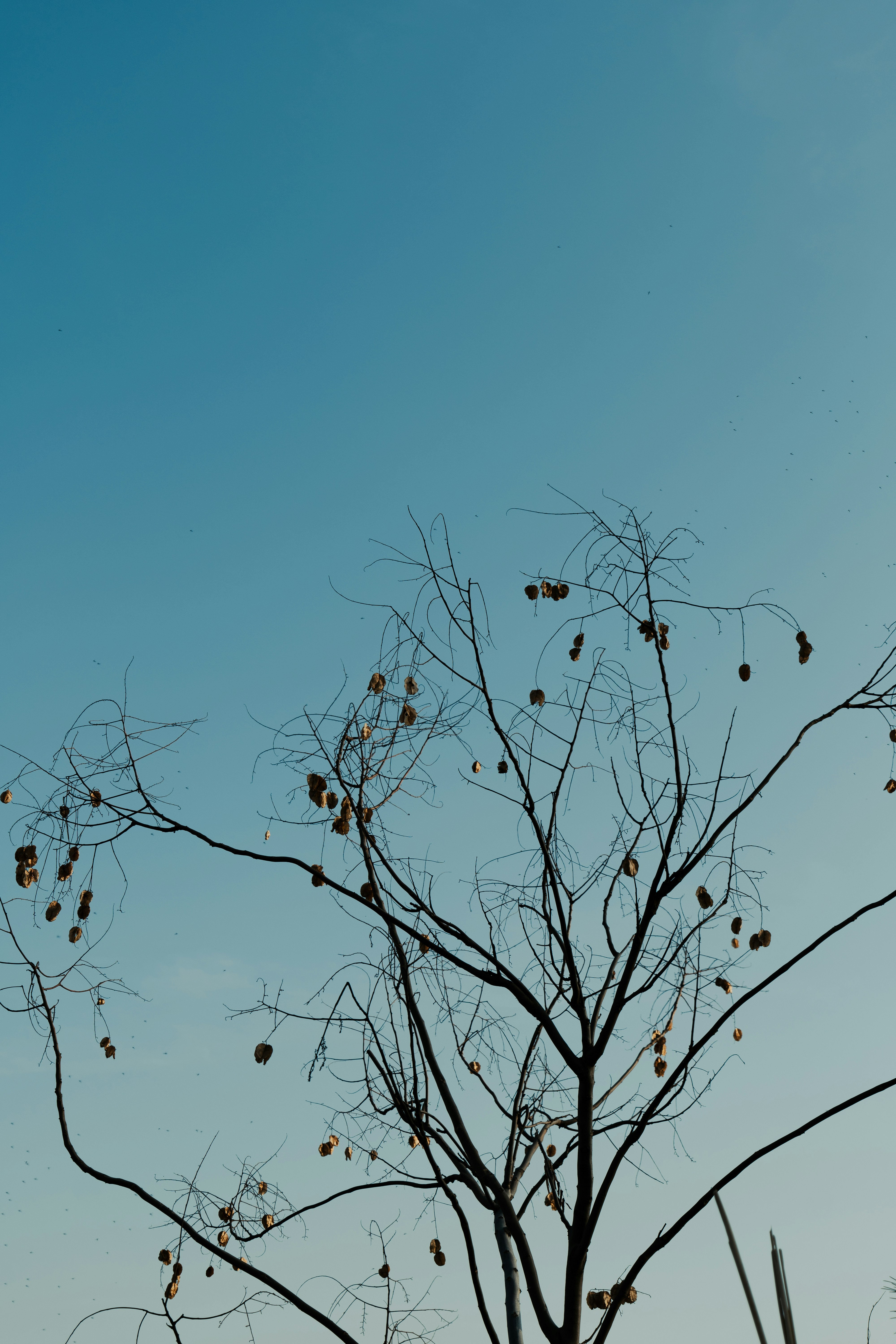 Photo by summerobelisk