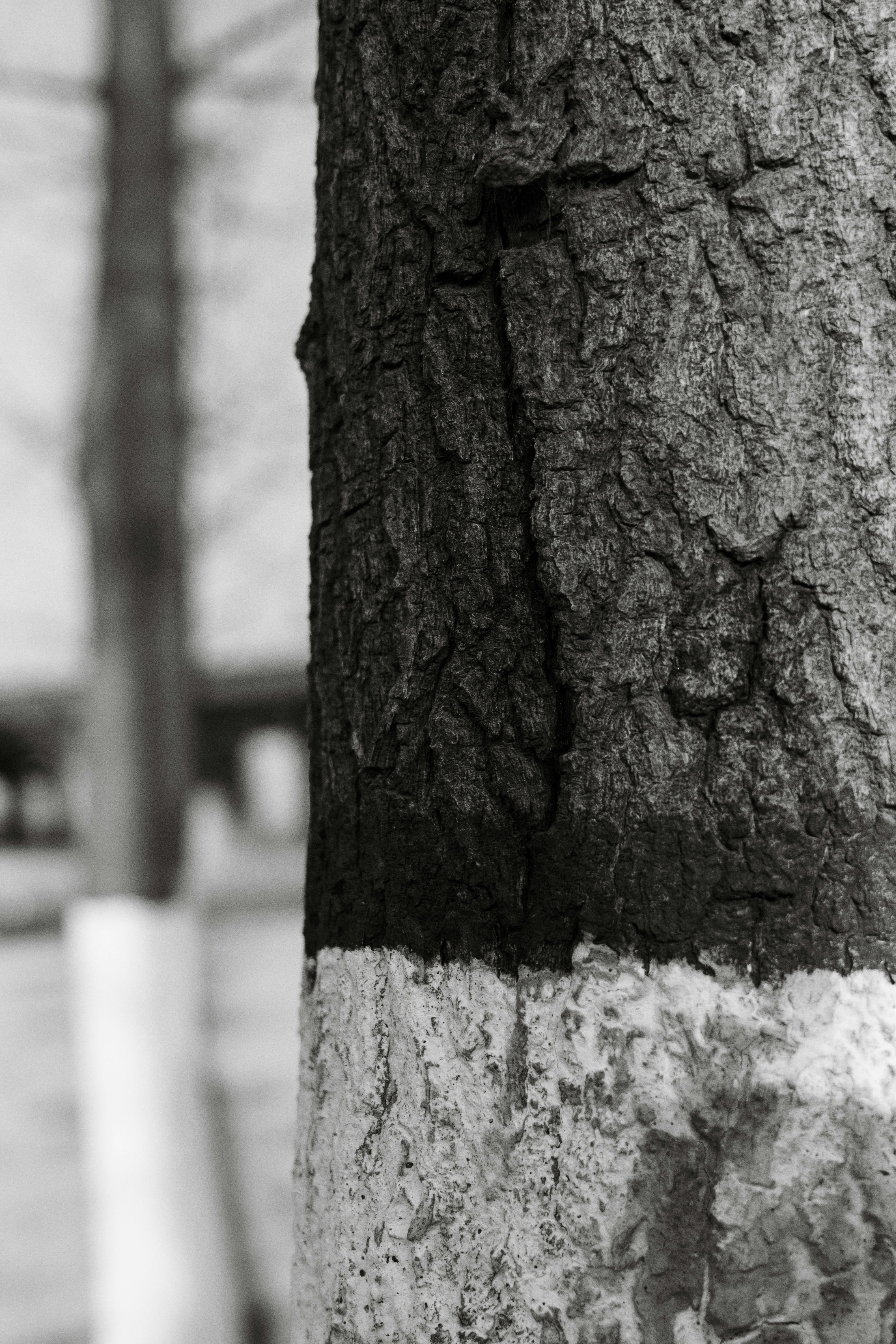 Photo by summerobelisk