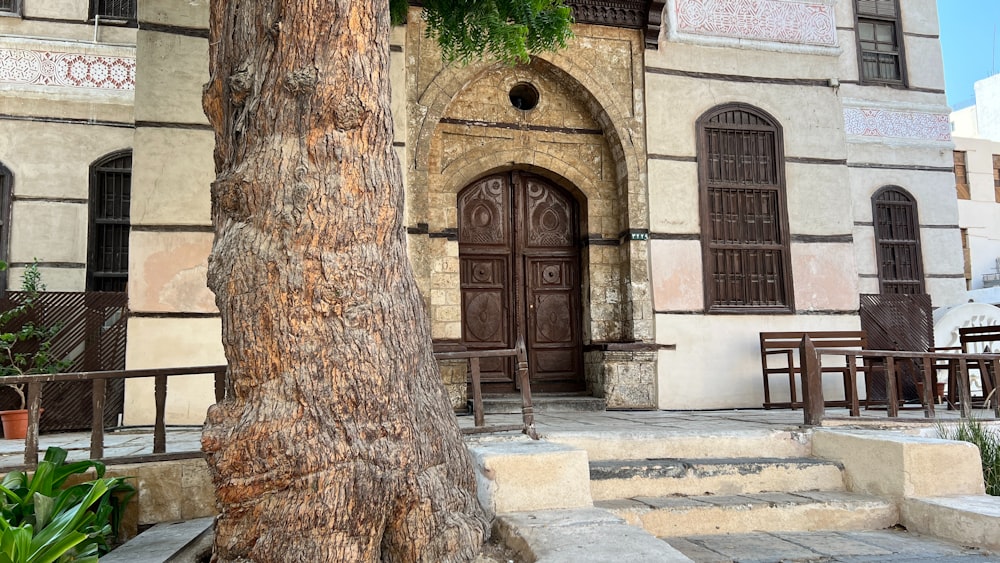 a large tree in front of a building
