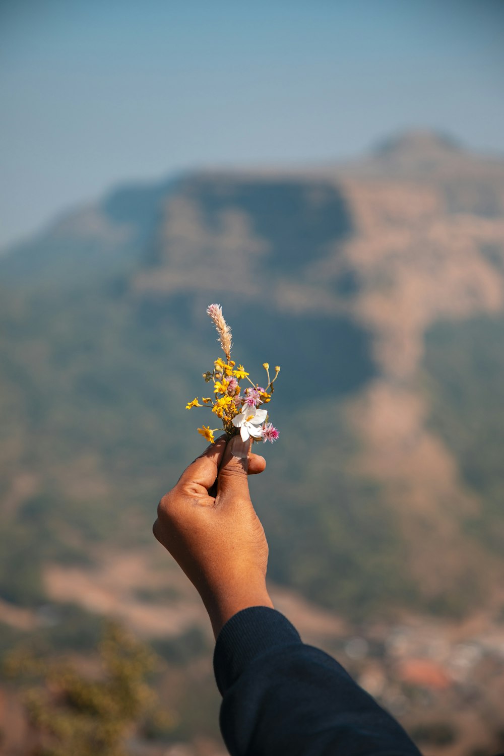 a person holding a small flower in their hand