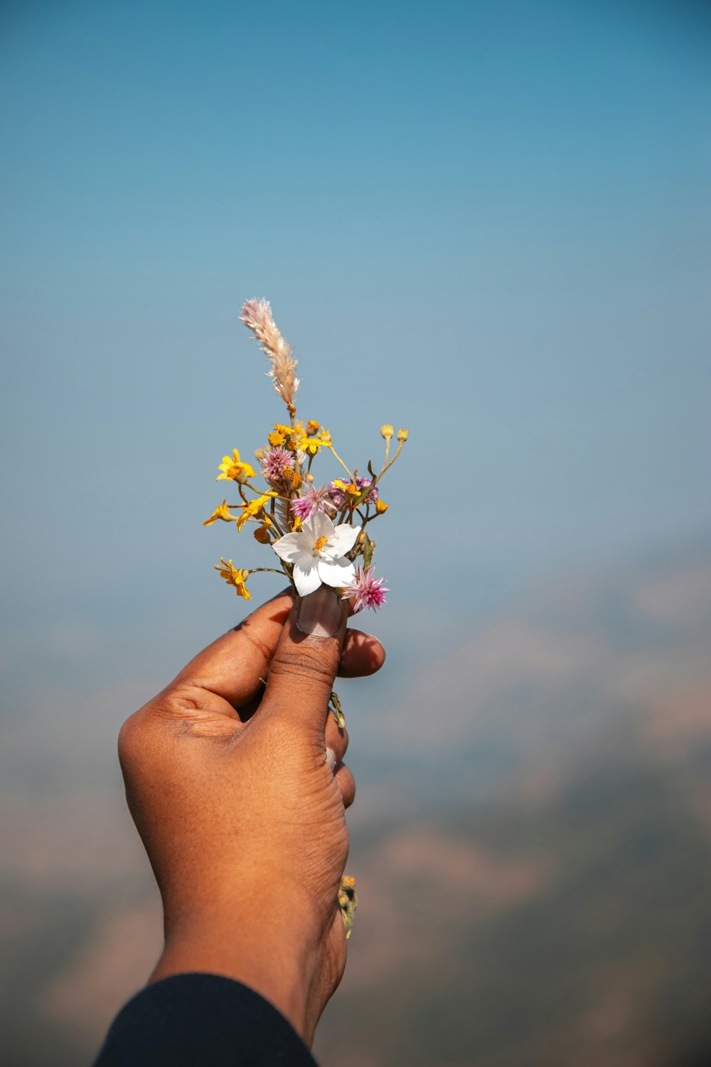 a person holding a flower in their hand