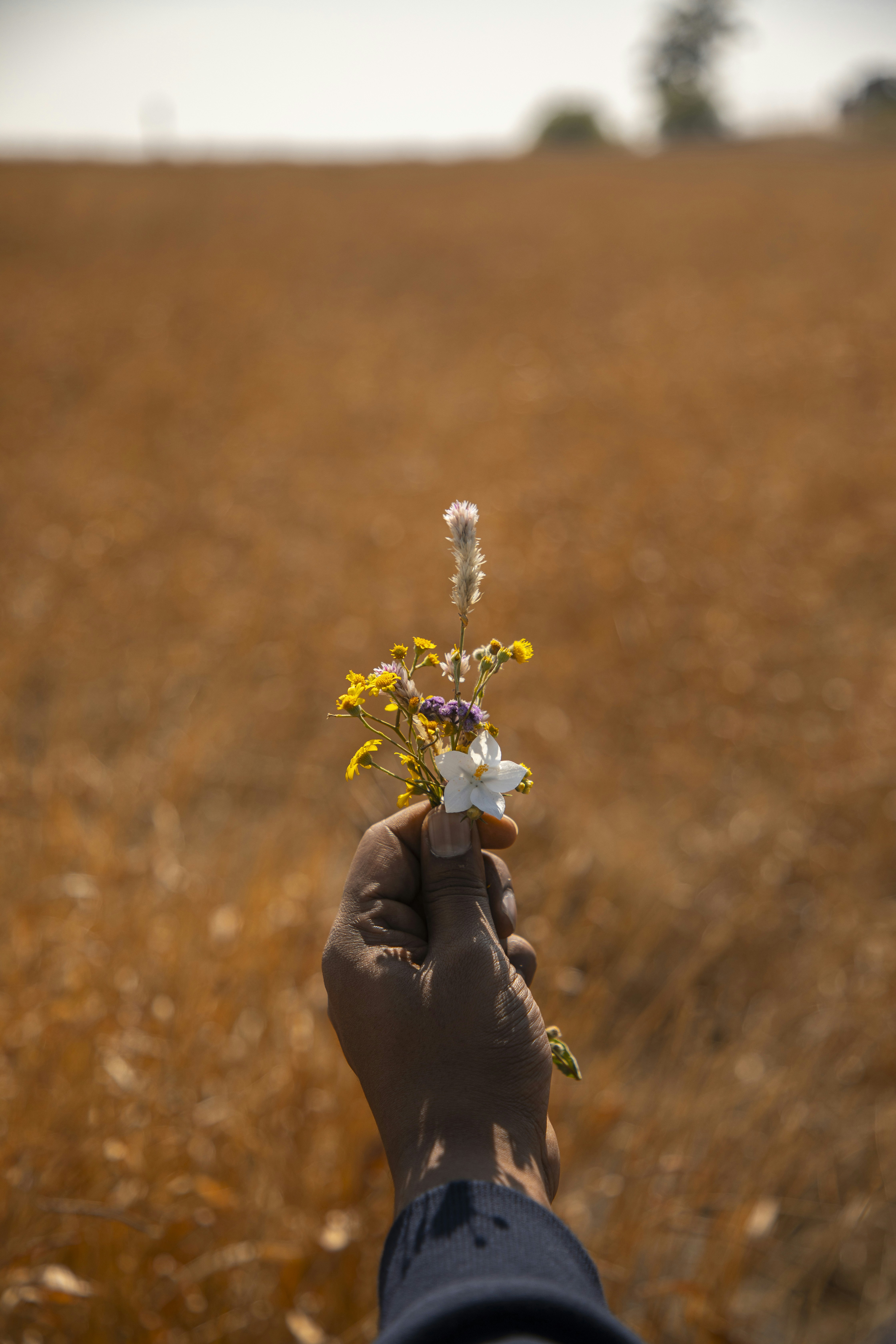 una persona sosteniendo una flor en un campo