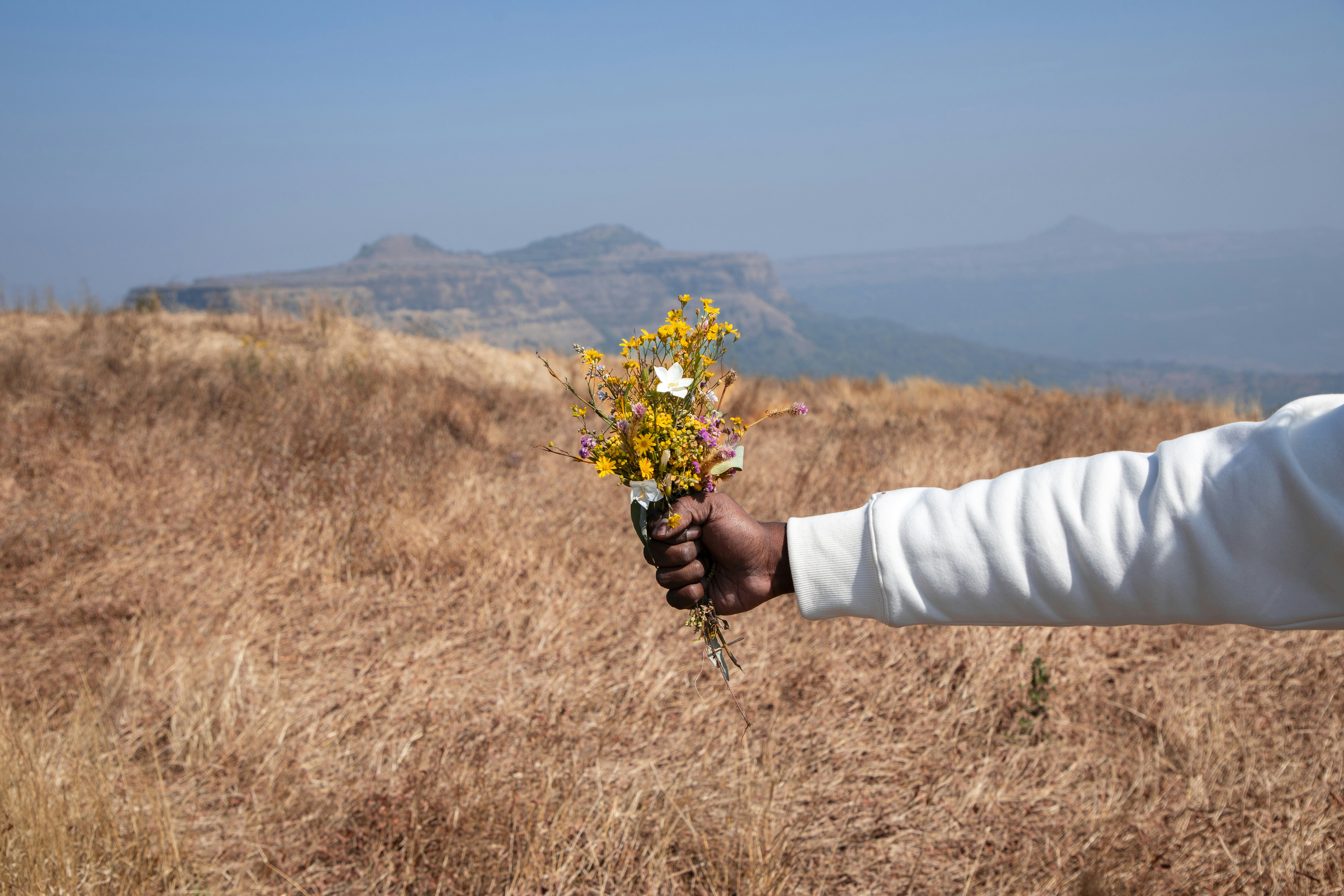 una persona sosteniendo un ramo de flores en un campo