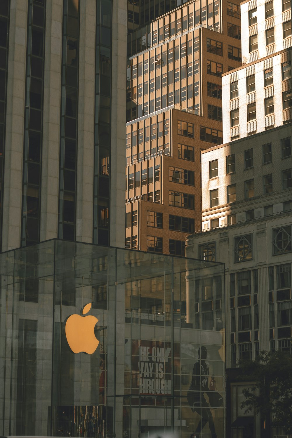 a glass building with an apple logo on it