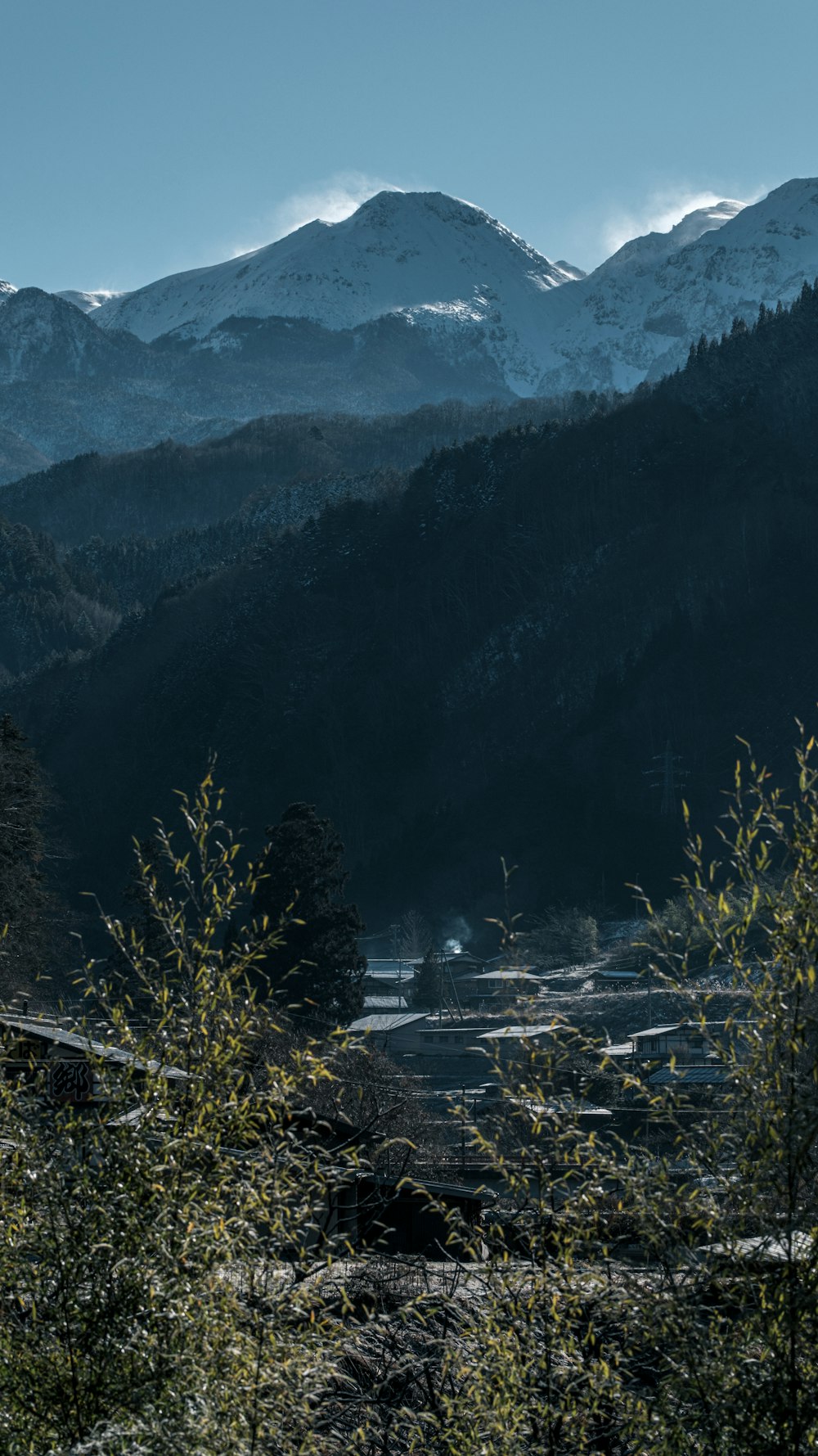 a view of a mountain range with trees in the foreground