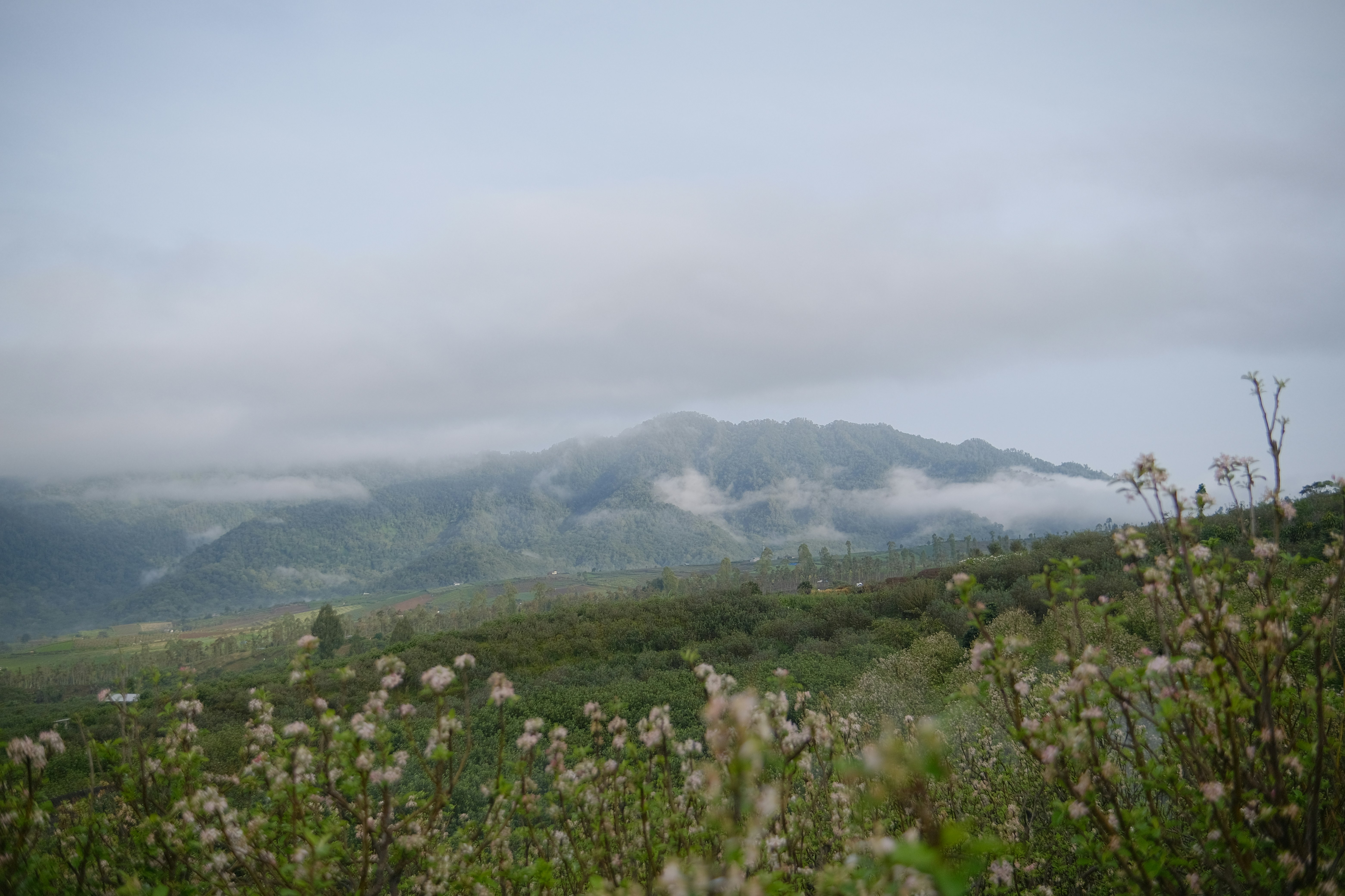 Photo by aryakrisdyantara