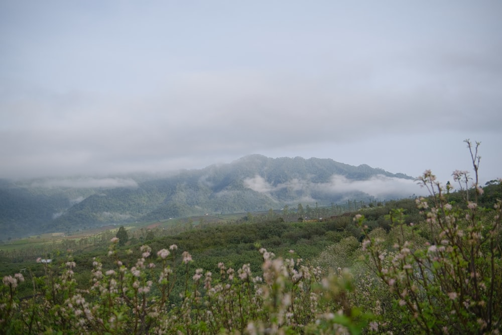 a view of a mountain range with low lying clouds
