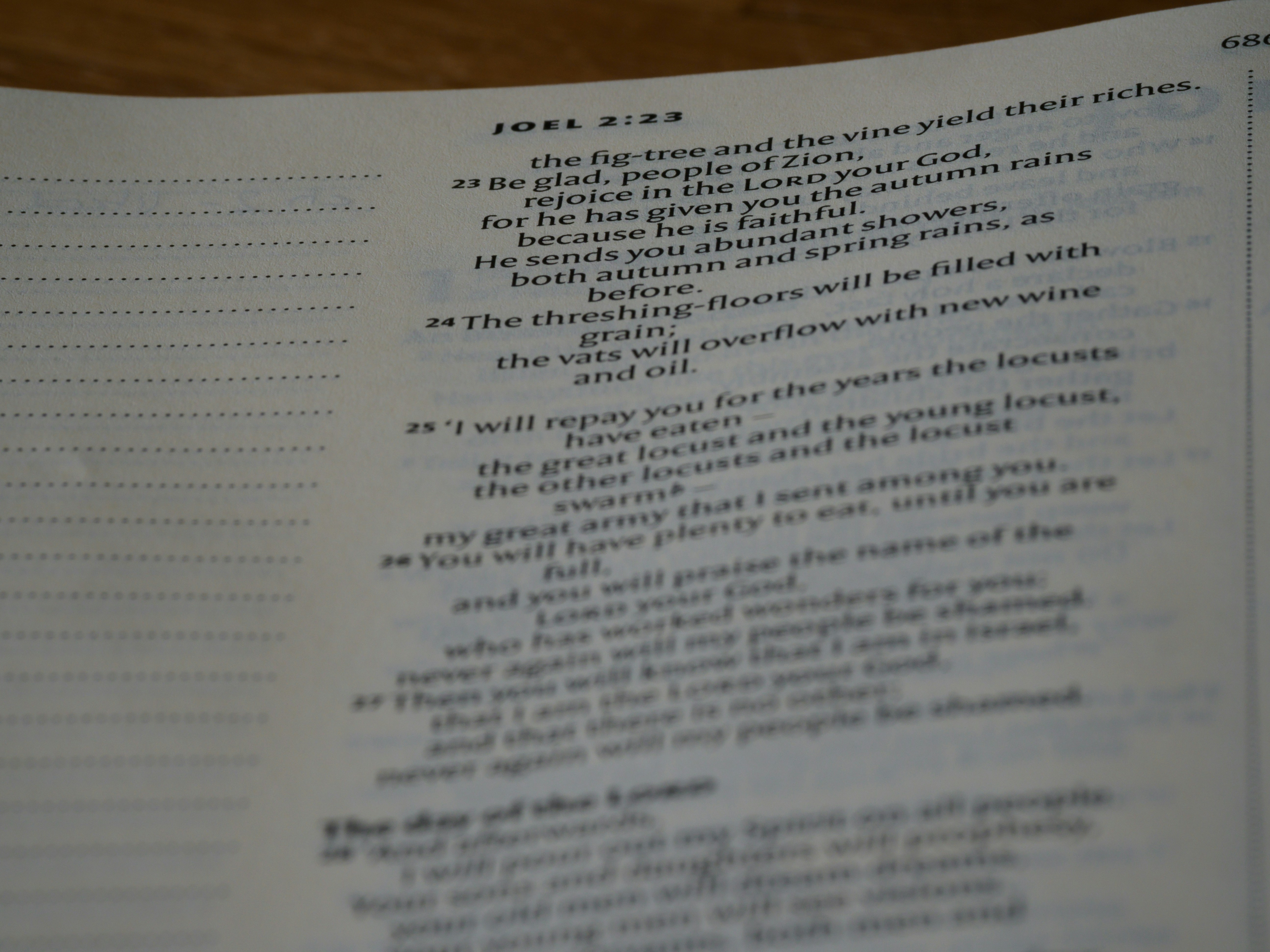 Photo by brett_jordan