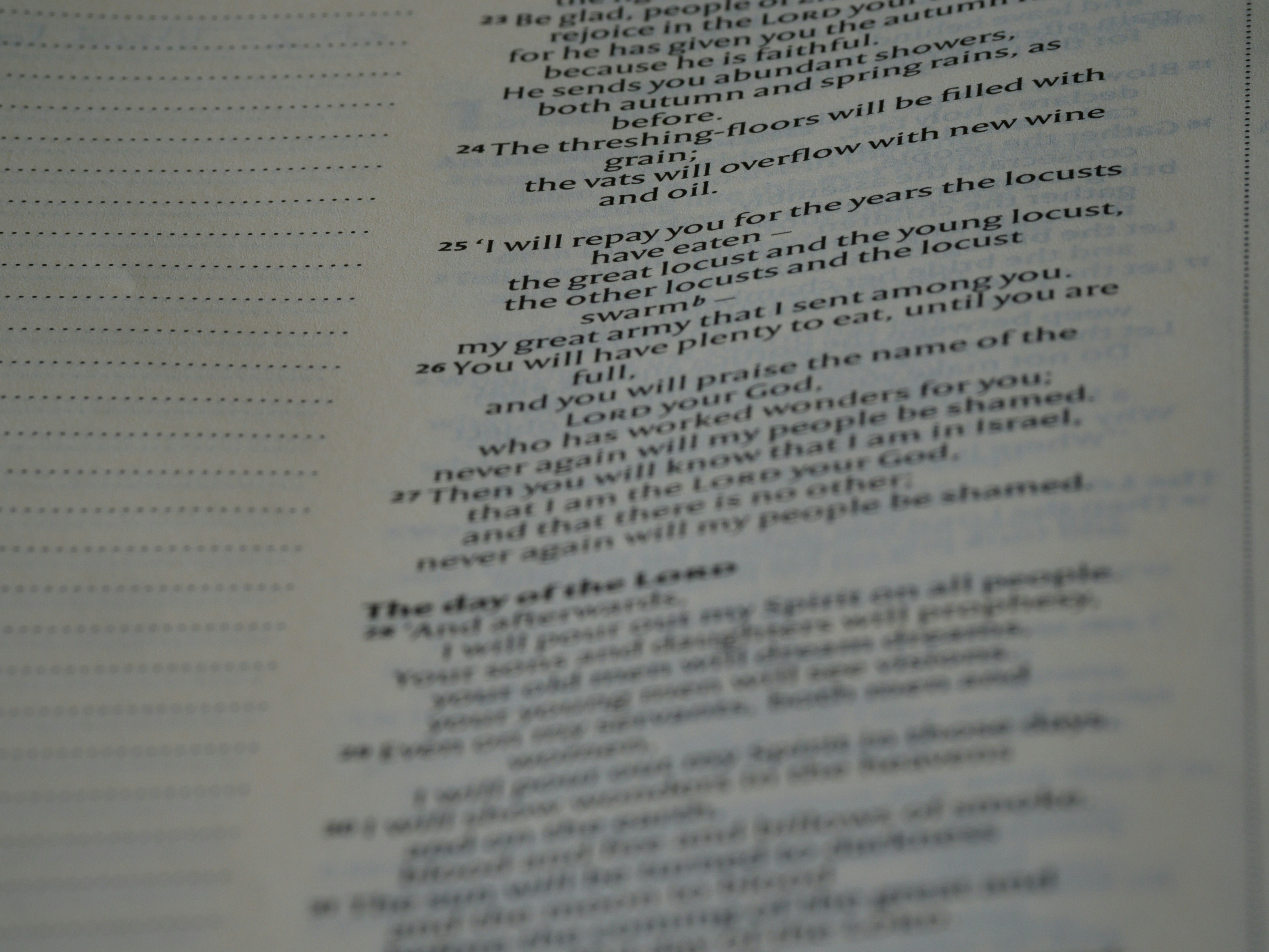 Photo by brett_jordan