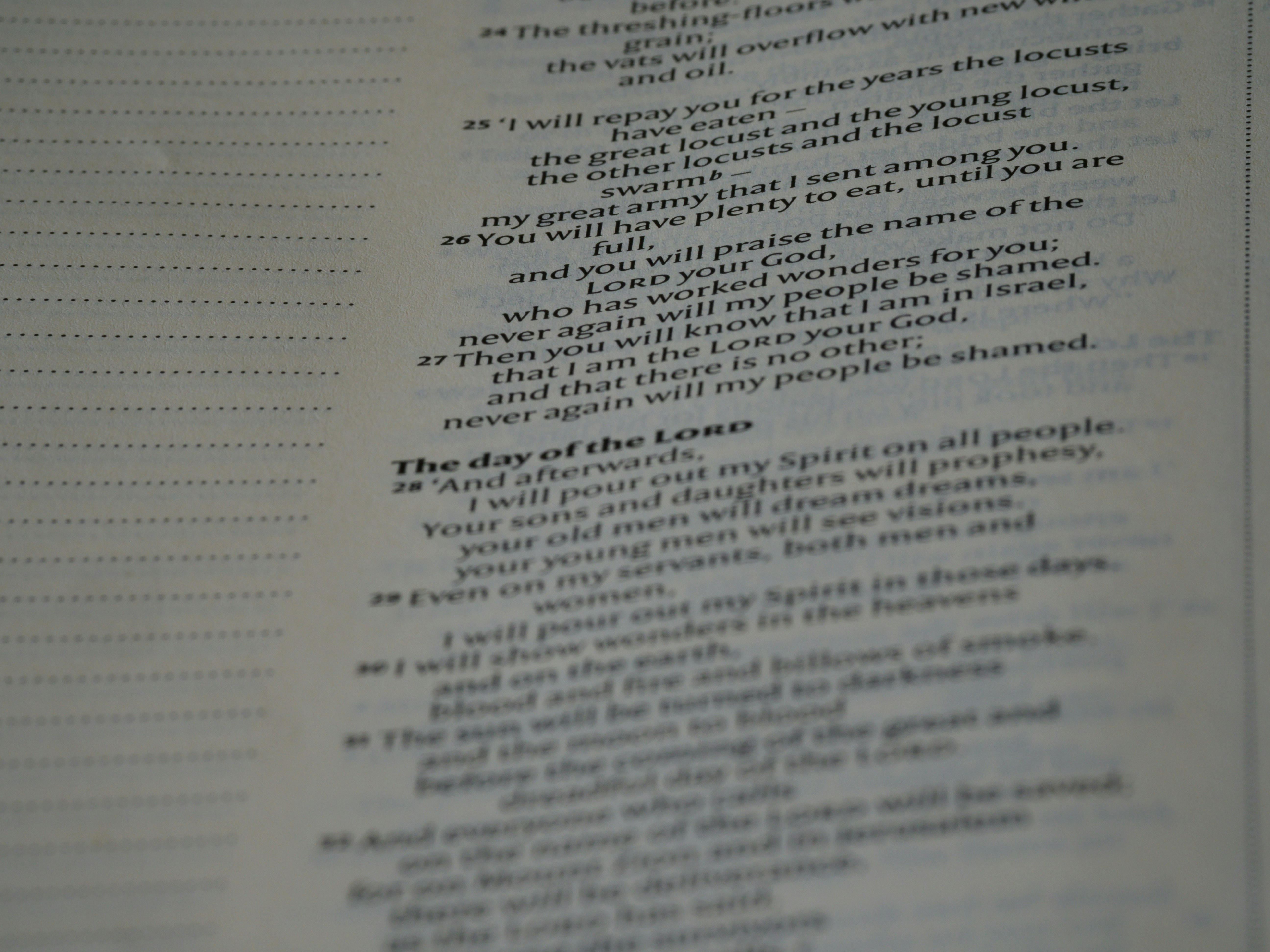 Photo by brett_jordan