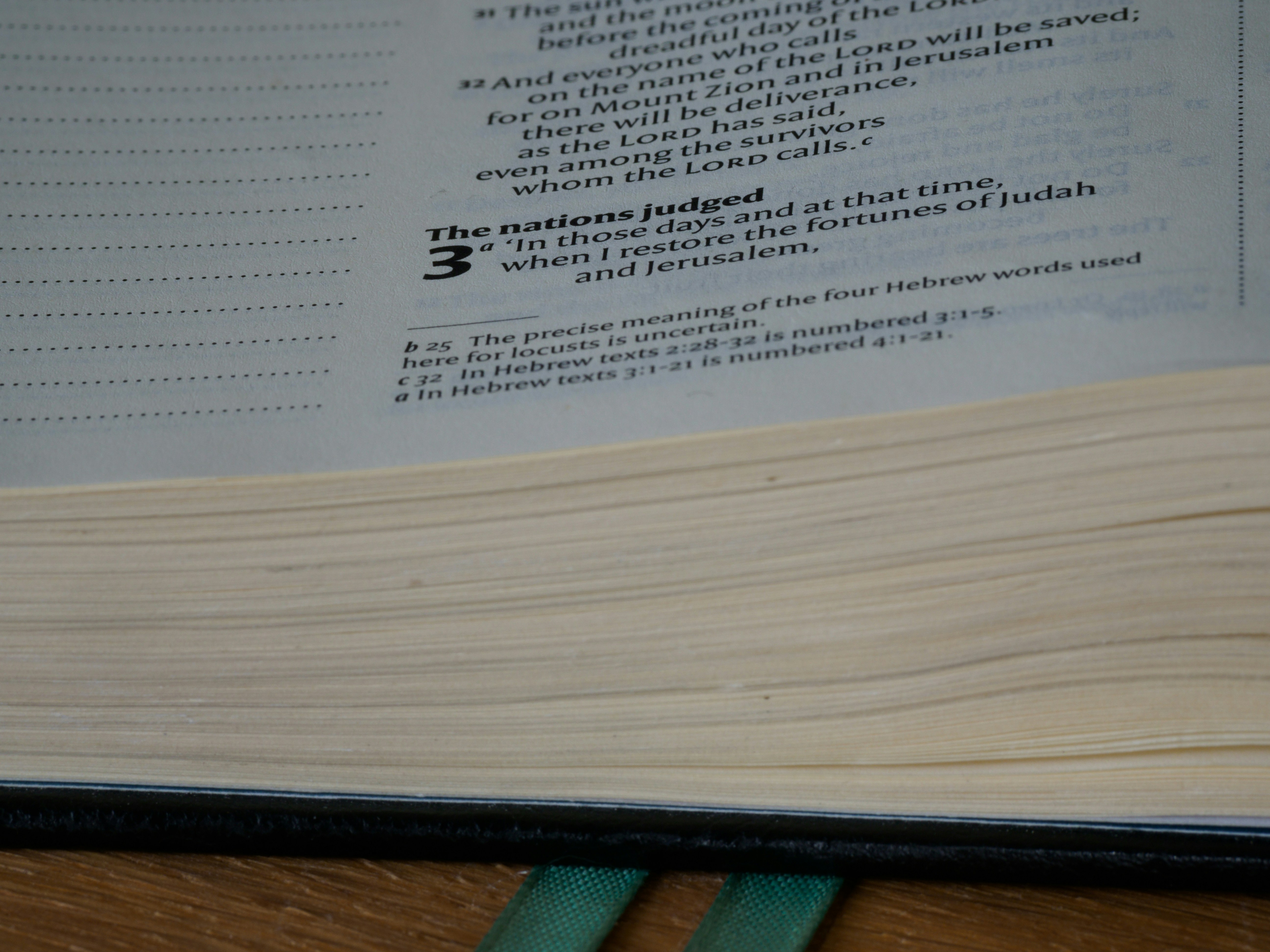 Photo by brett_jordan