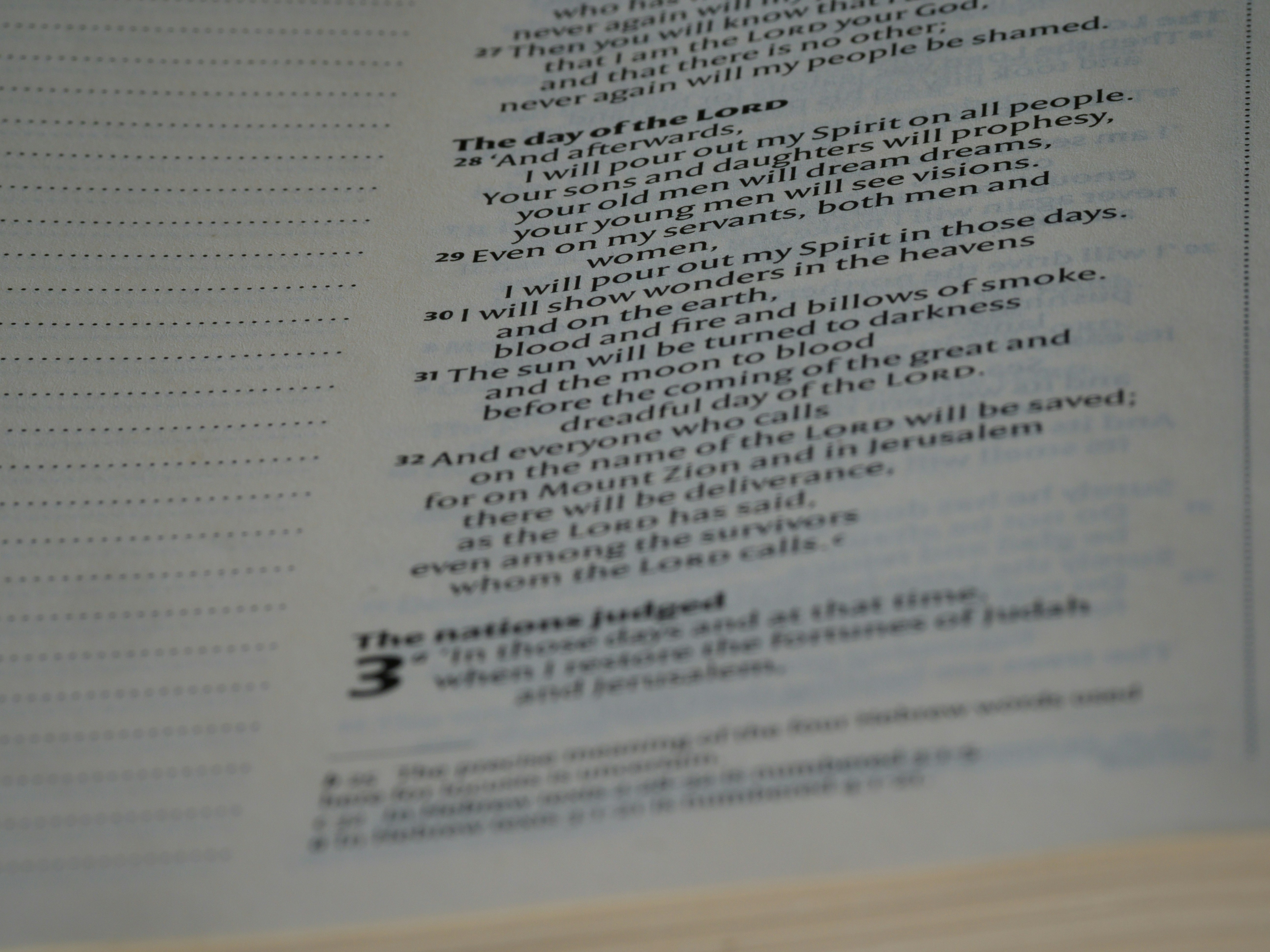 Photo by brett_jordan