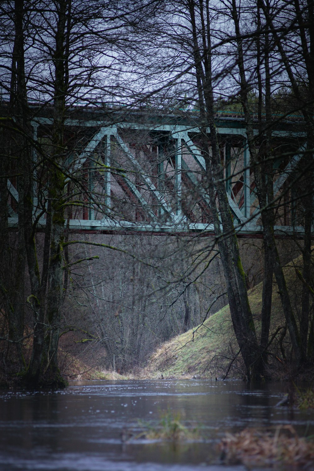 eine Brücke über einen Fluss, umgeben von Bäumen