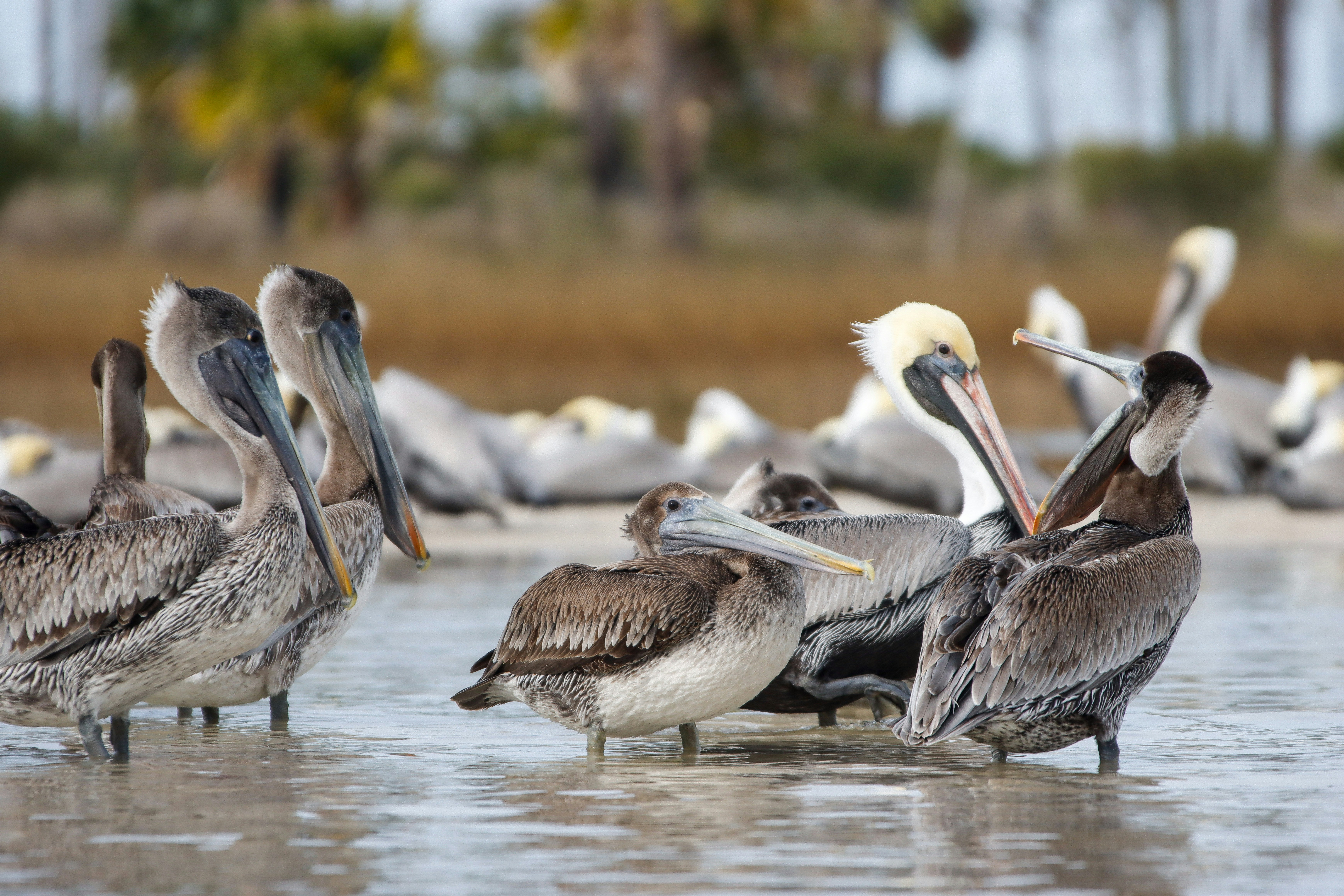 Photo by alla_kemelmakher