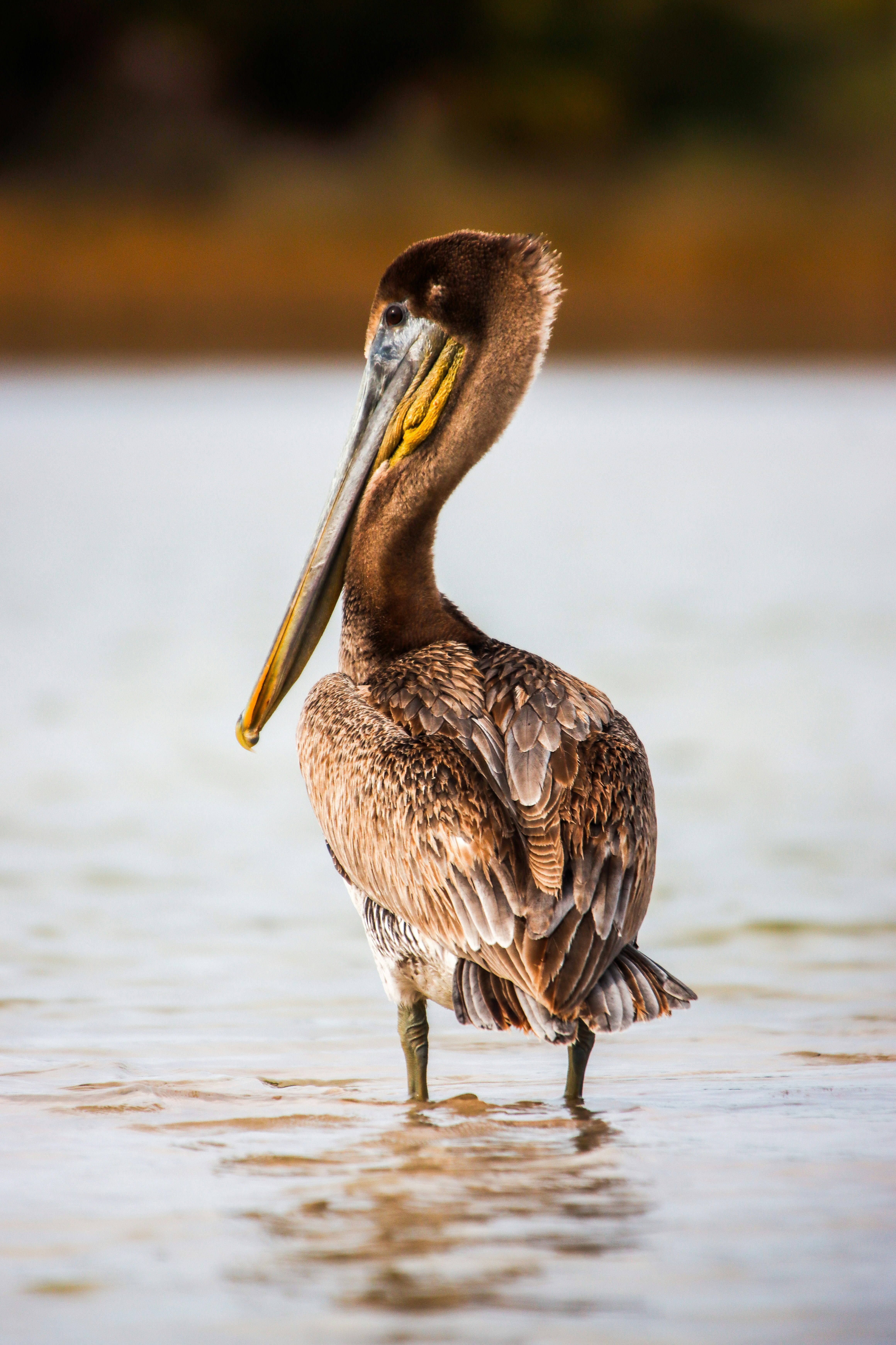 Photo by alla_kemelmakher