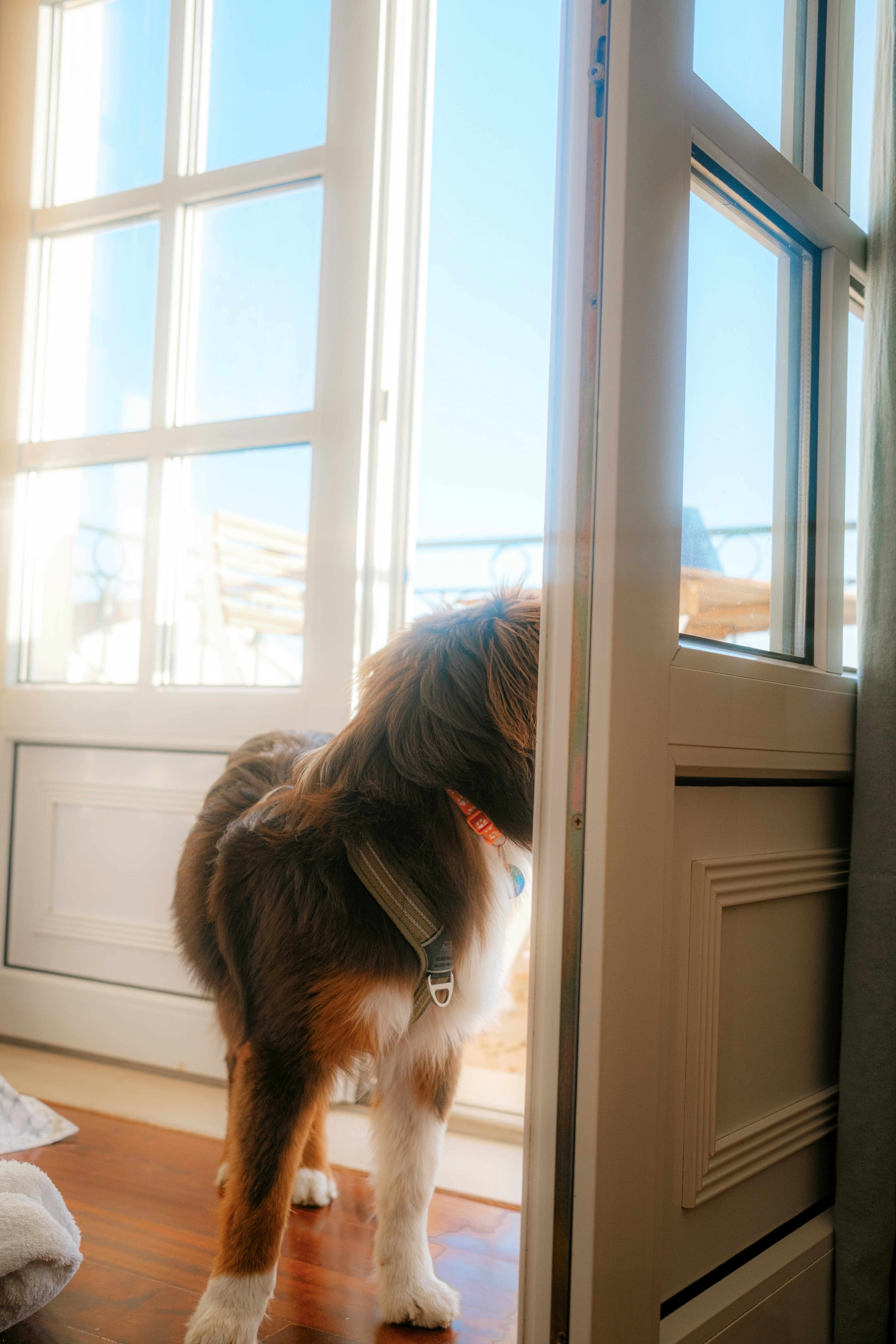 Photo by valentinlacoste