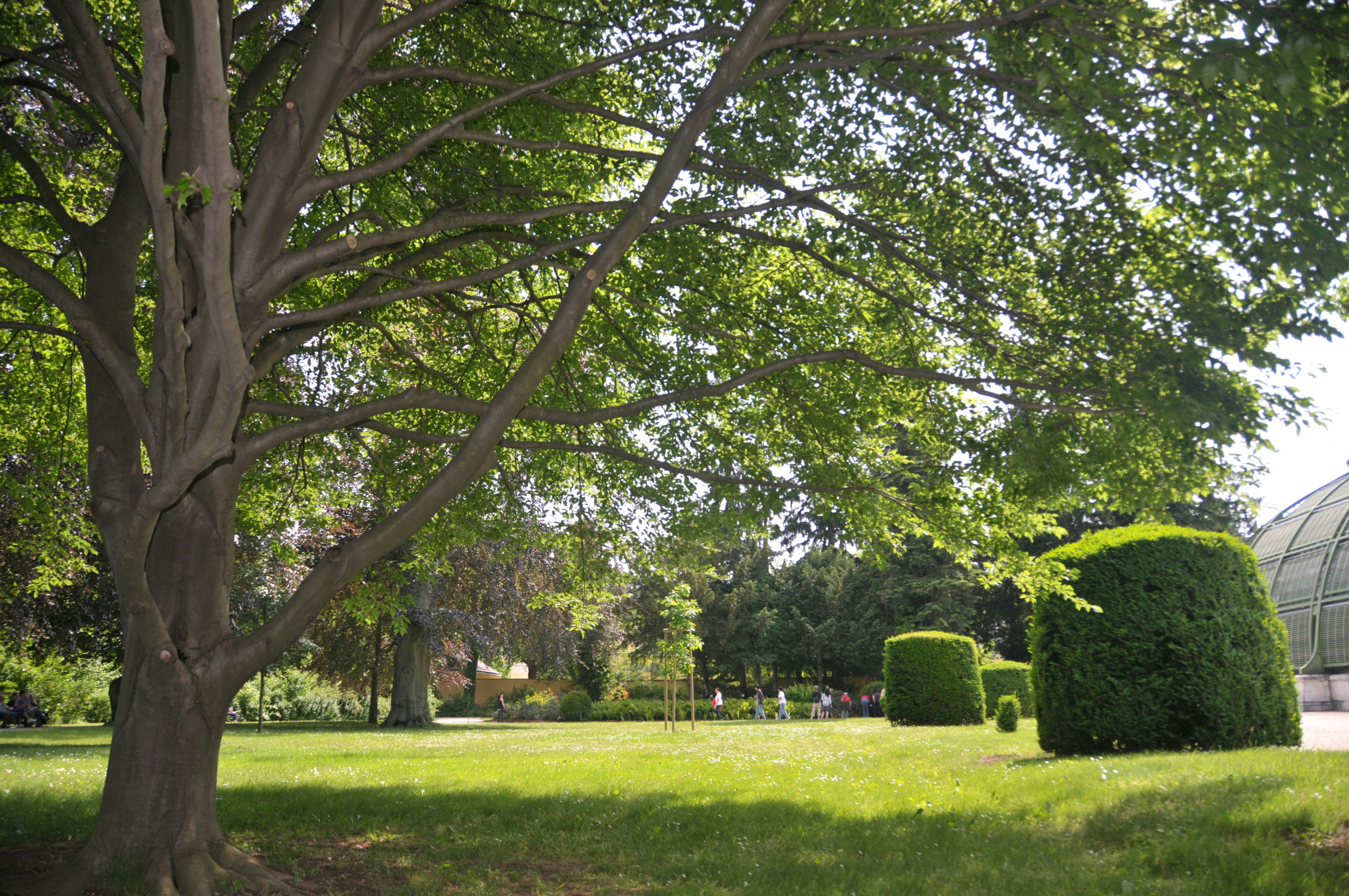 Photo by amiraaartistry