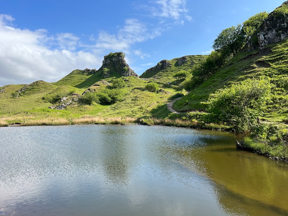 a small pond in the middle of a grassy area