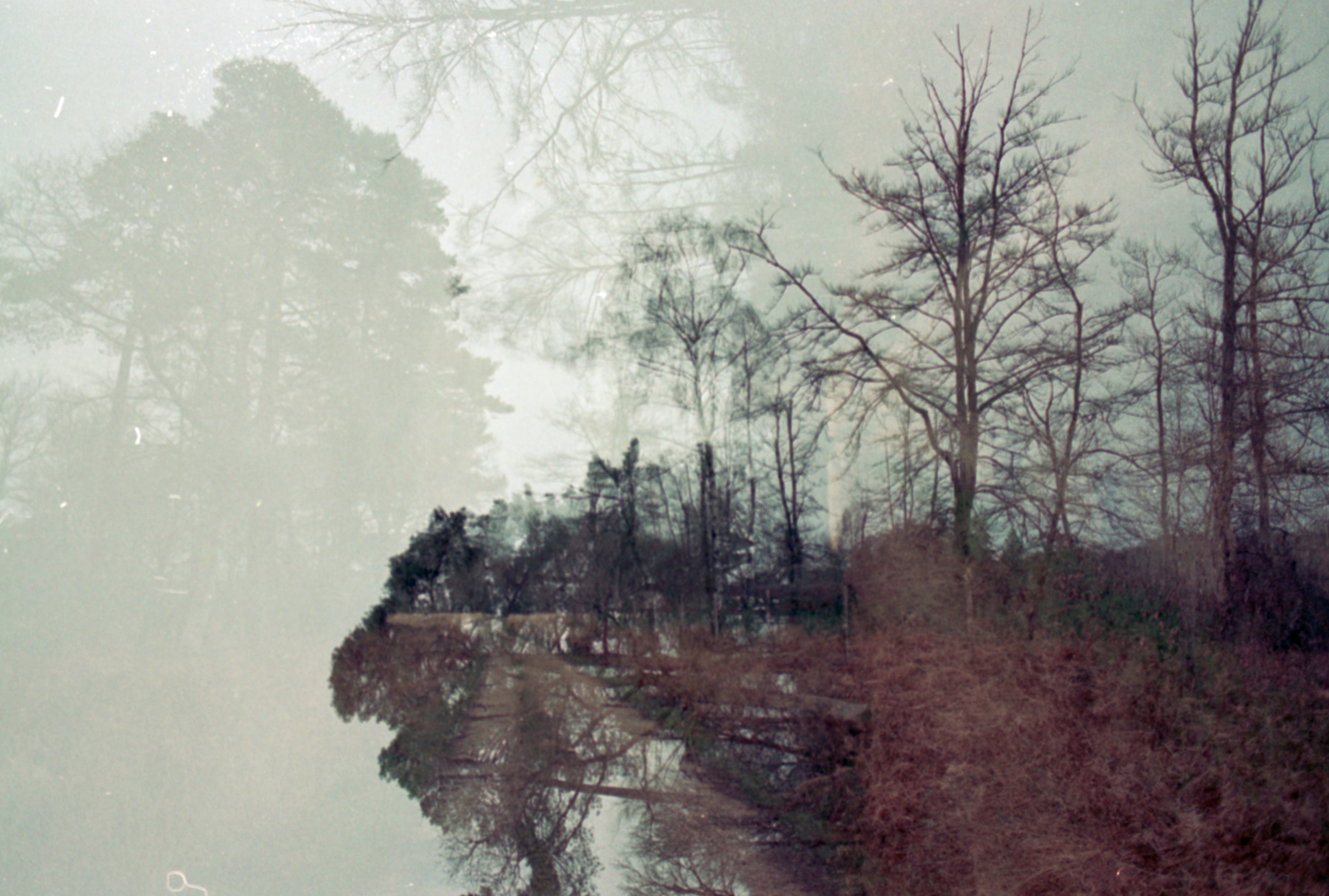 Photo by anniespratt