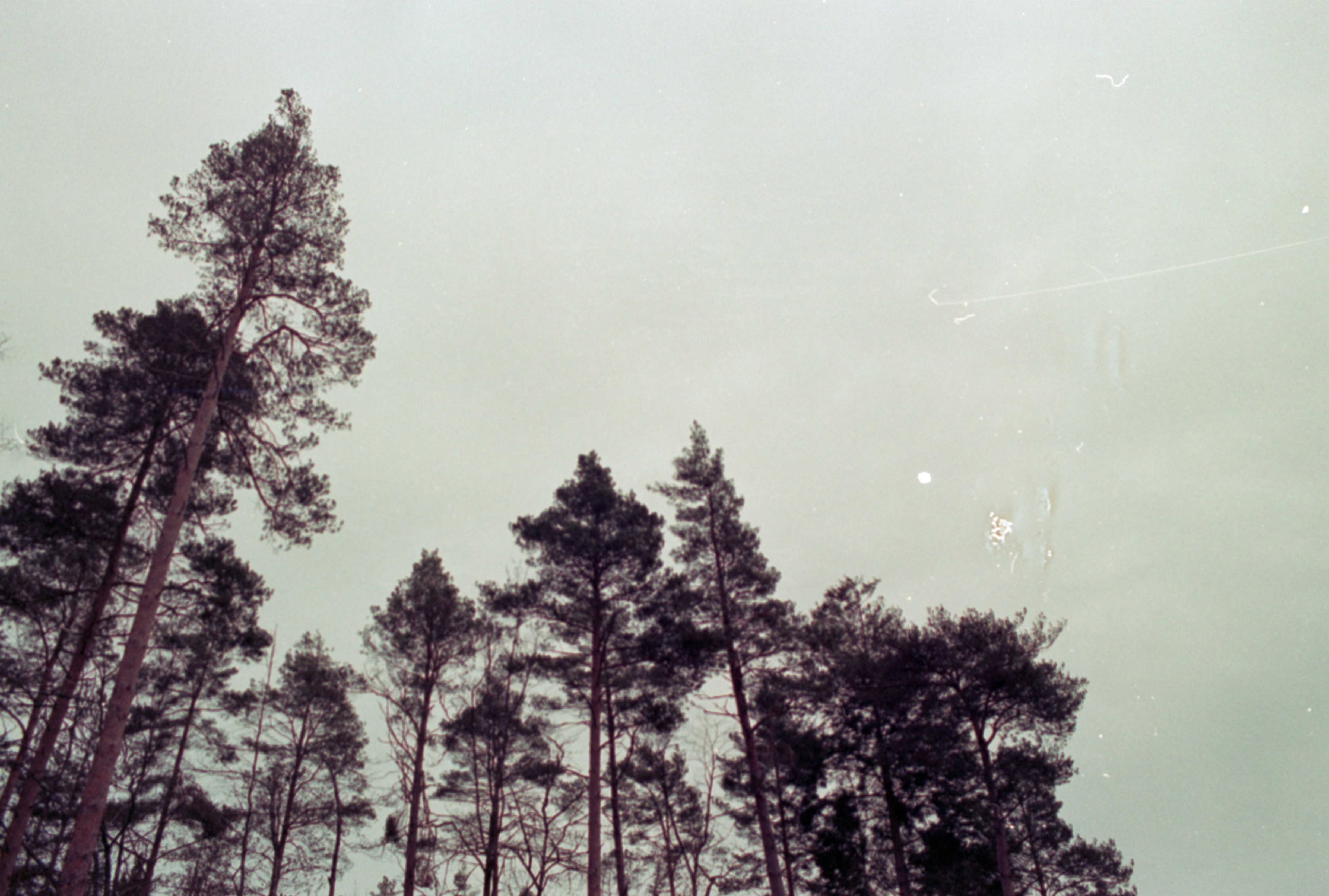 Photo by anniespratt