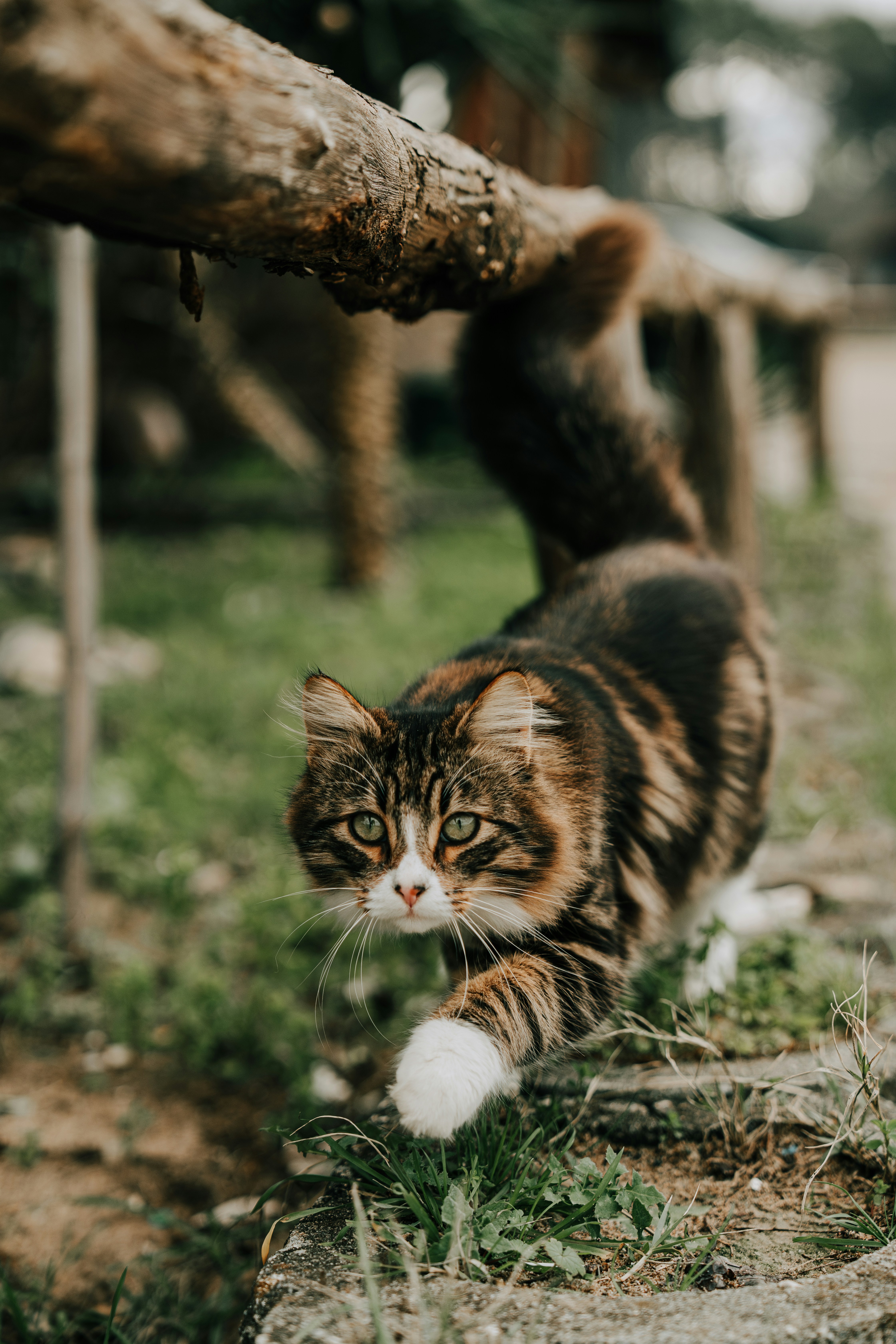 Photo by mutecevvil