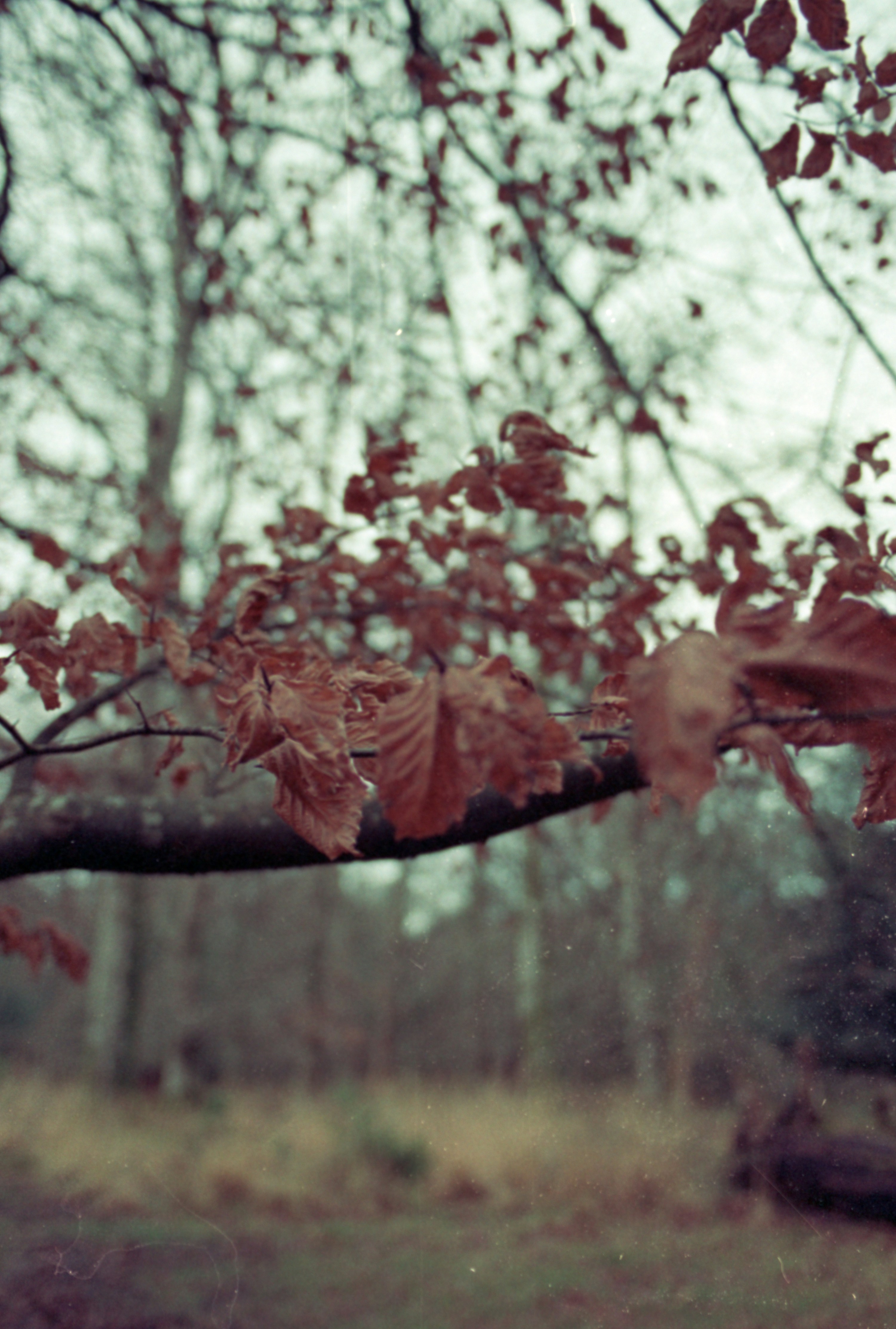 Photo by anniespratt