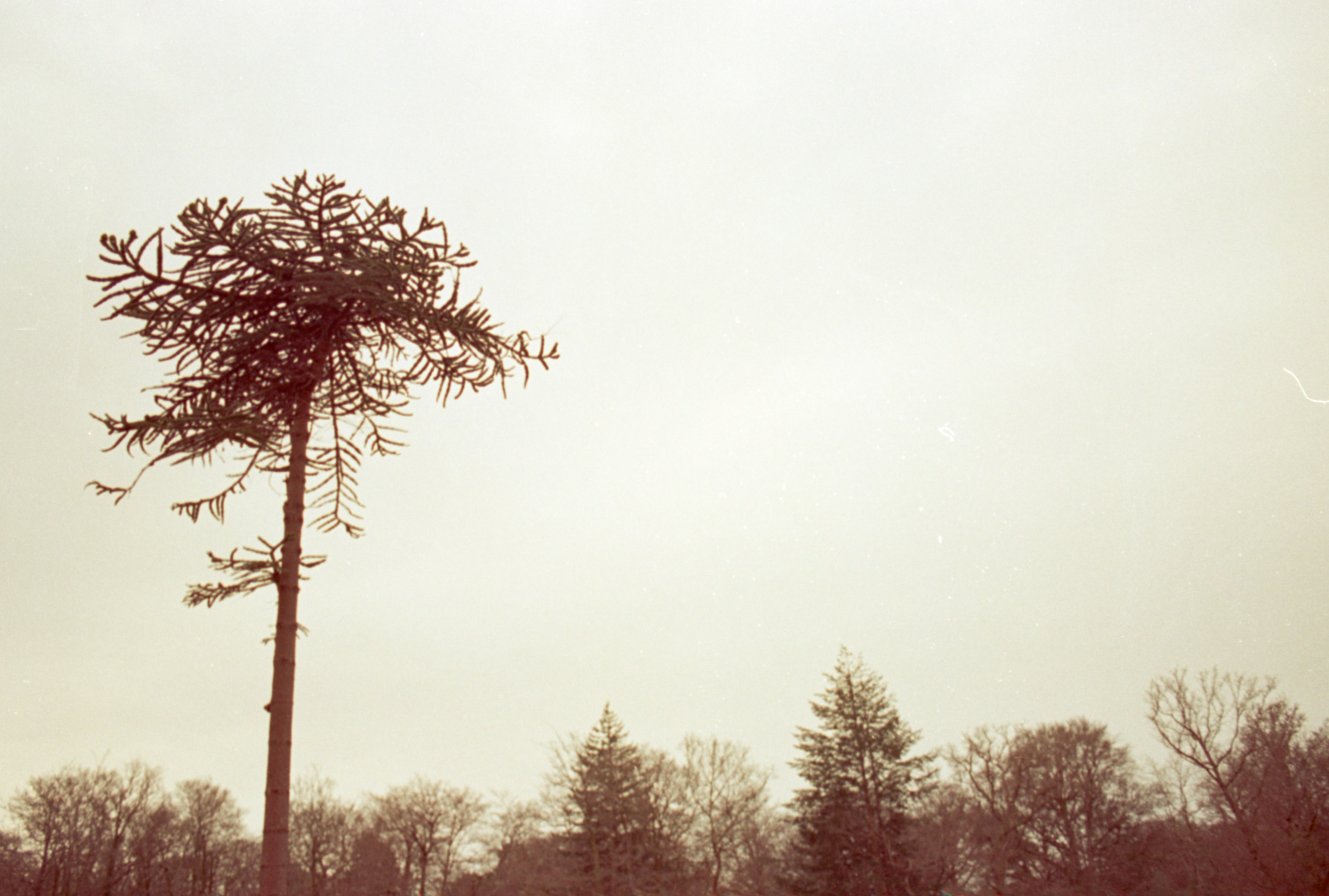 Photo by anniespratt