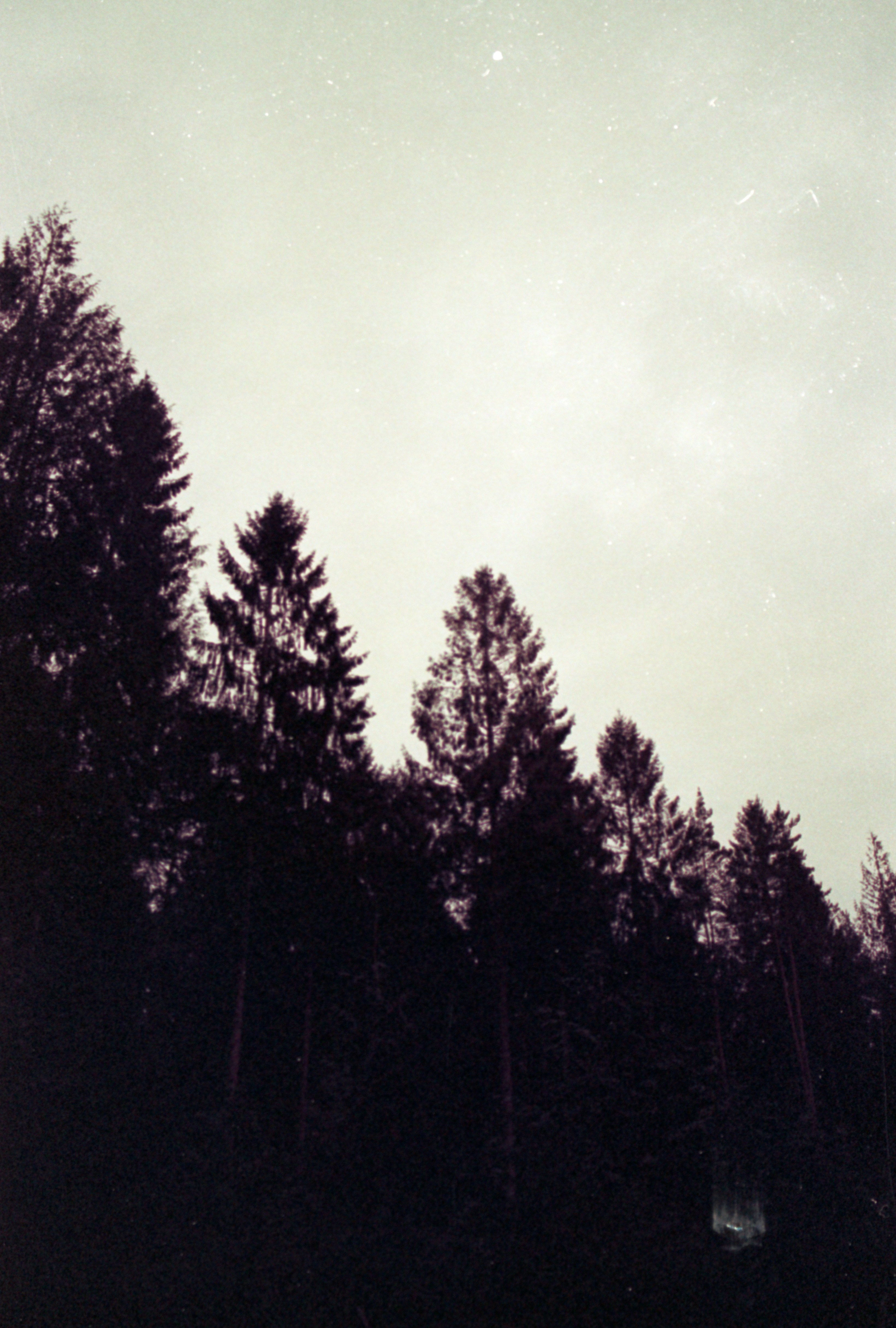 Photo by anniespratt