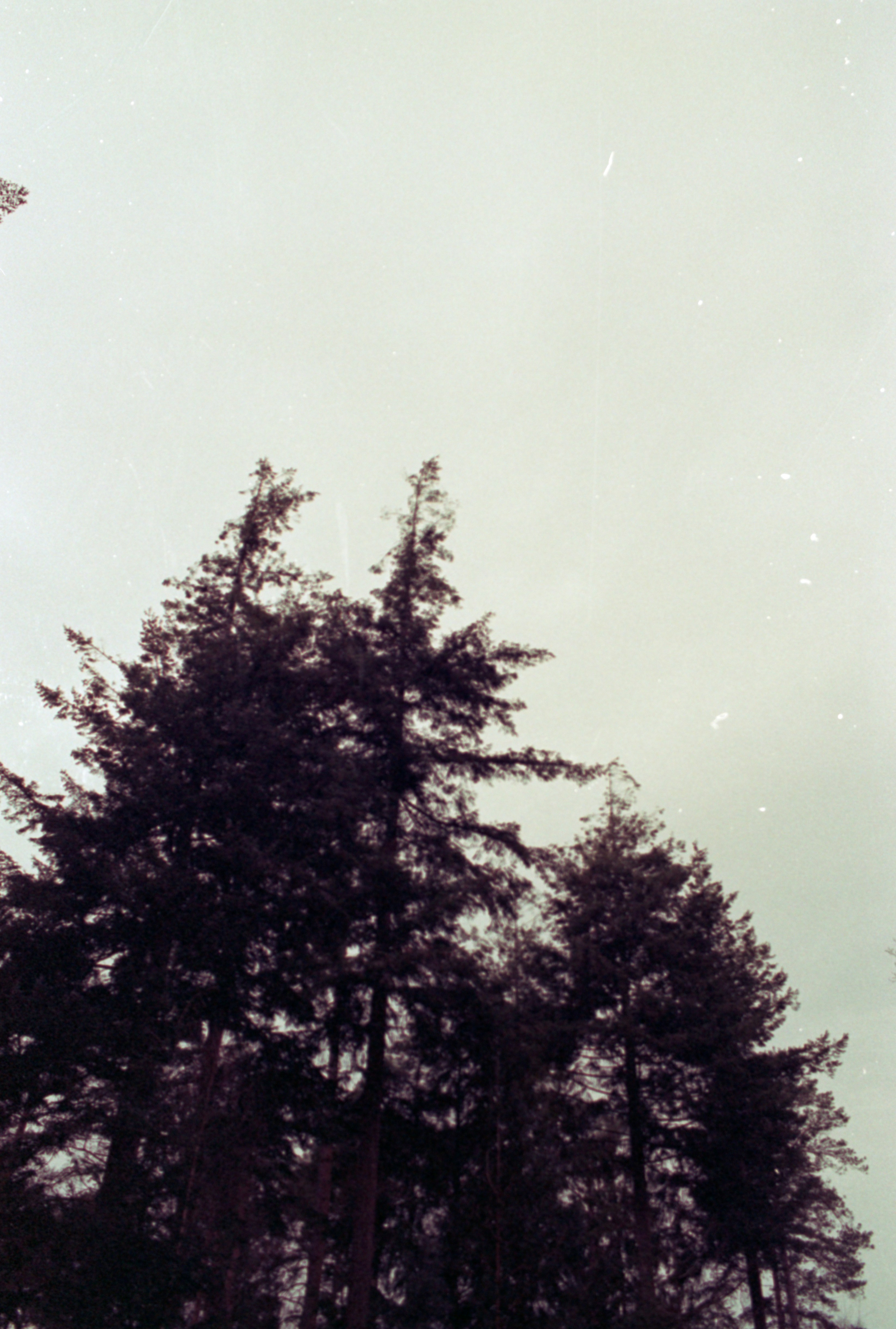 Photo by anniespratt