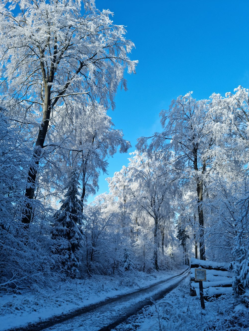 a snow covered road surrounded by trees and snow covered ground