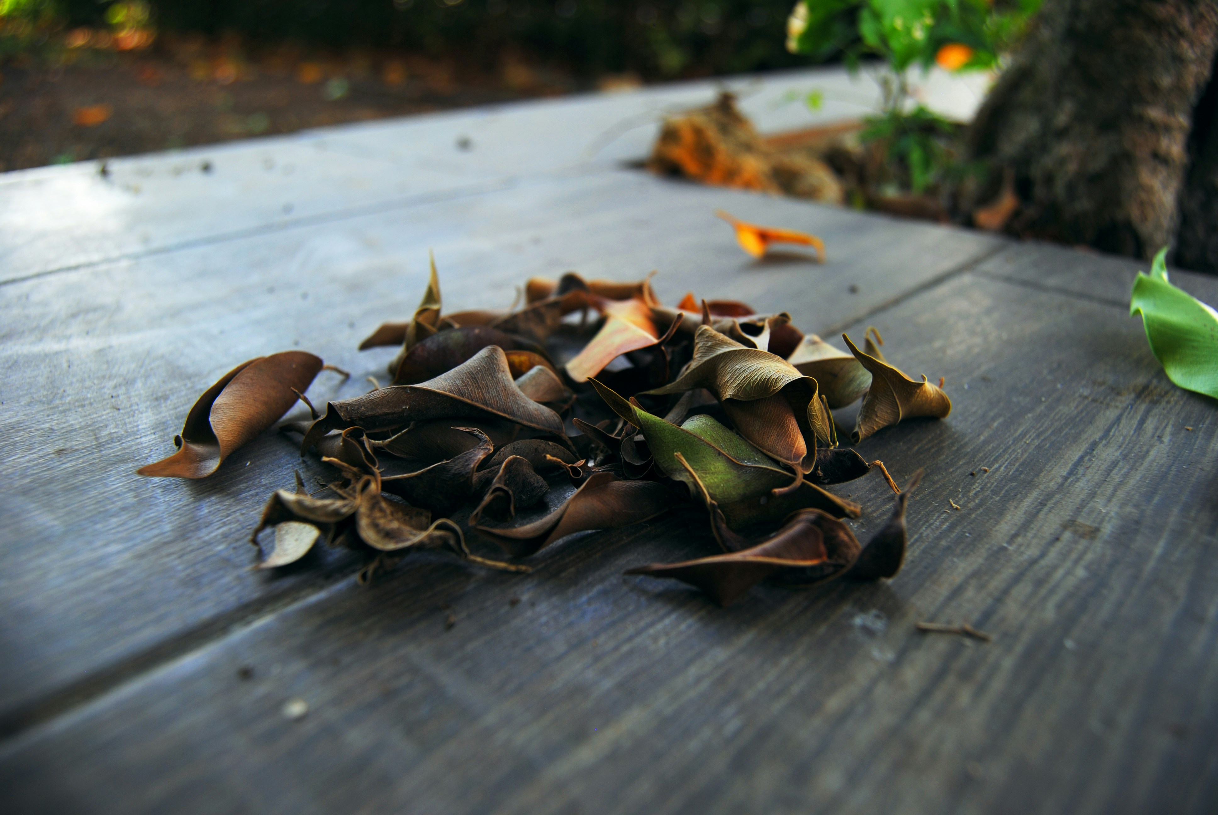 a pile of leaves sitting on top of a wooden table