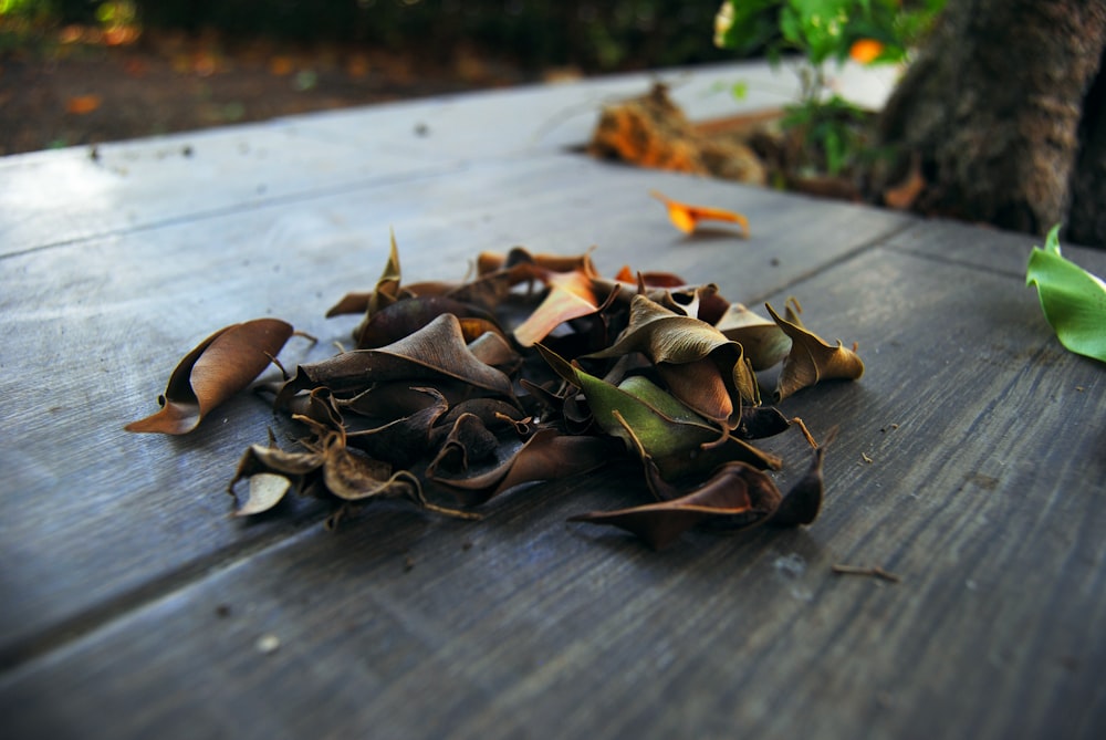 a pile of leaves sitting on top of a wooden table