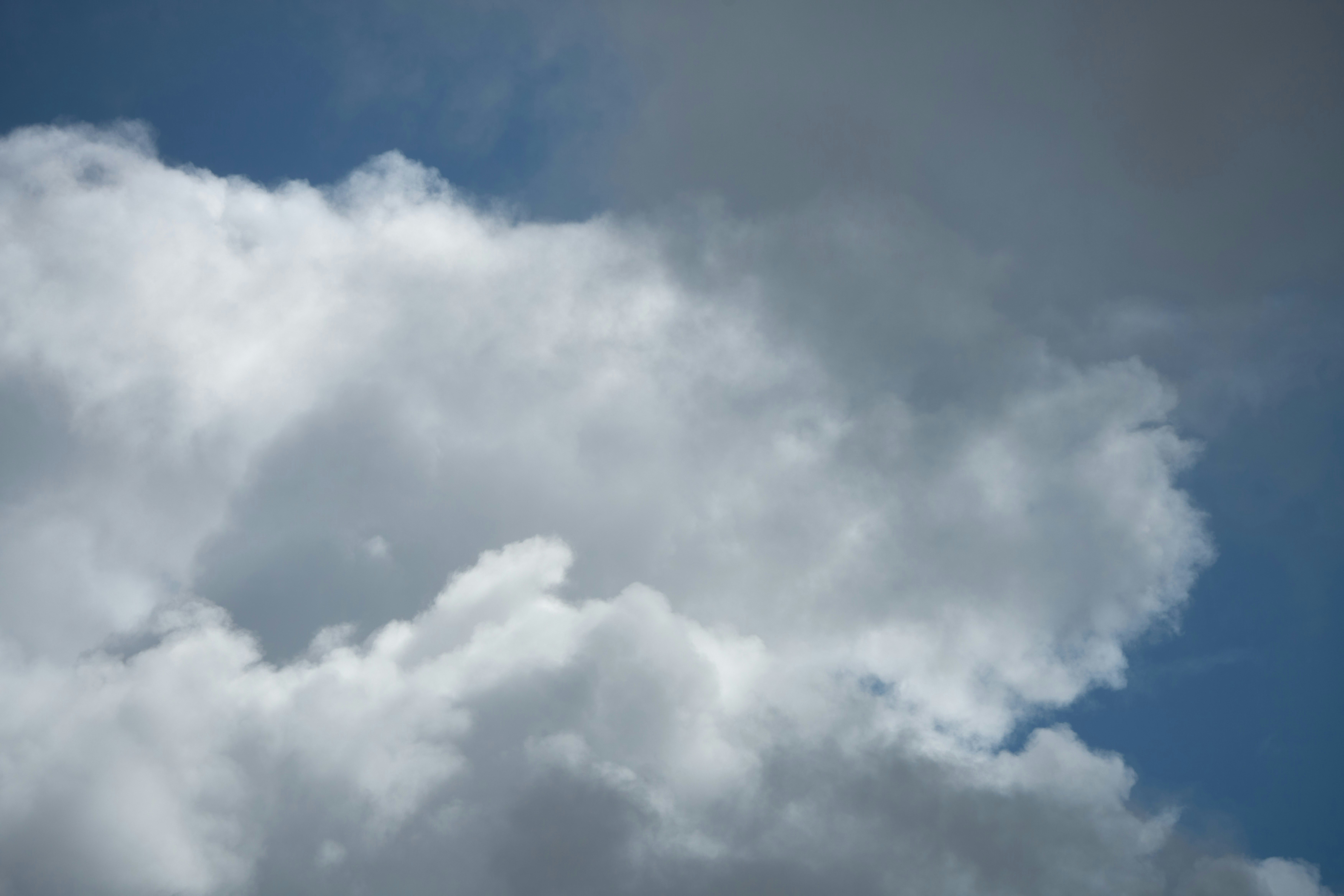 Photo by wolfgang_hasselmann