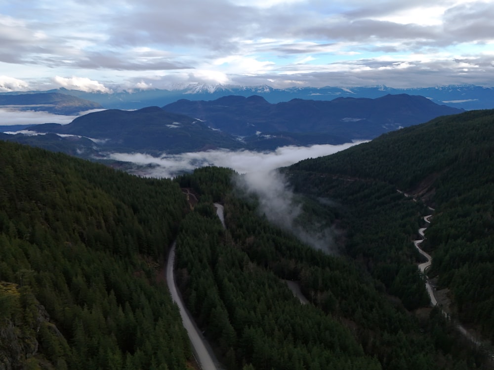 a winding road in the middle of a forest