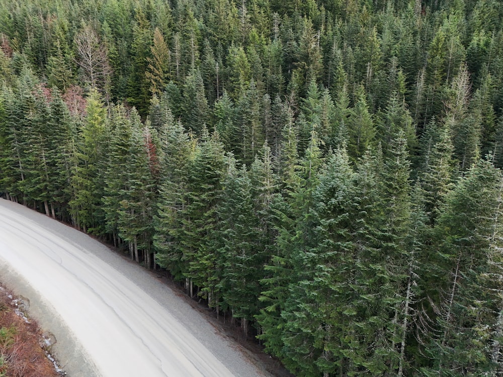 a car driving down a road surrounded by trees